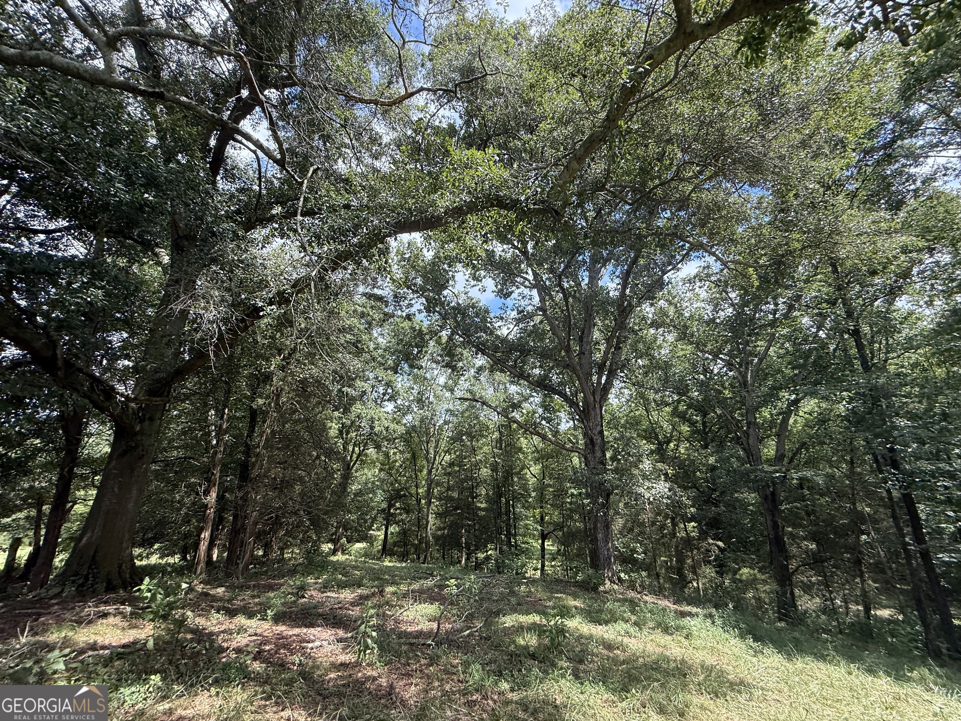 2004 Christian Road