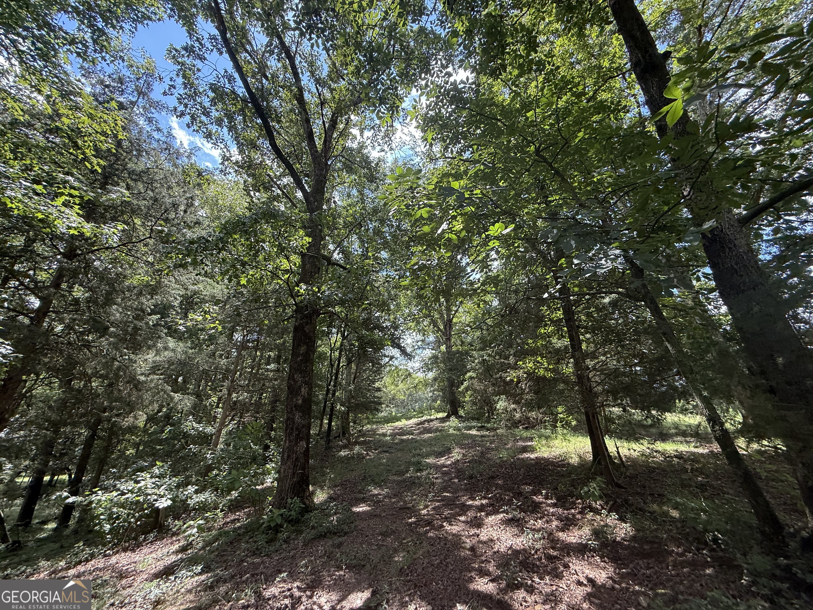 2004 Christian Road