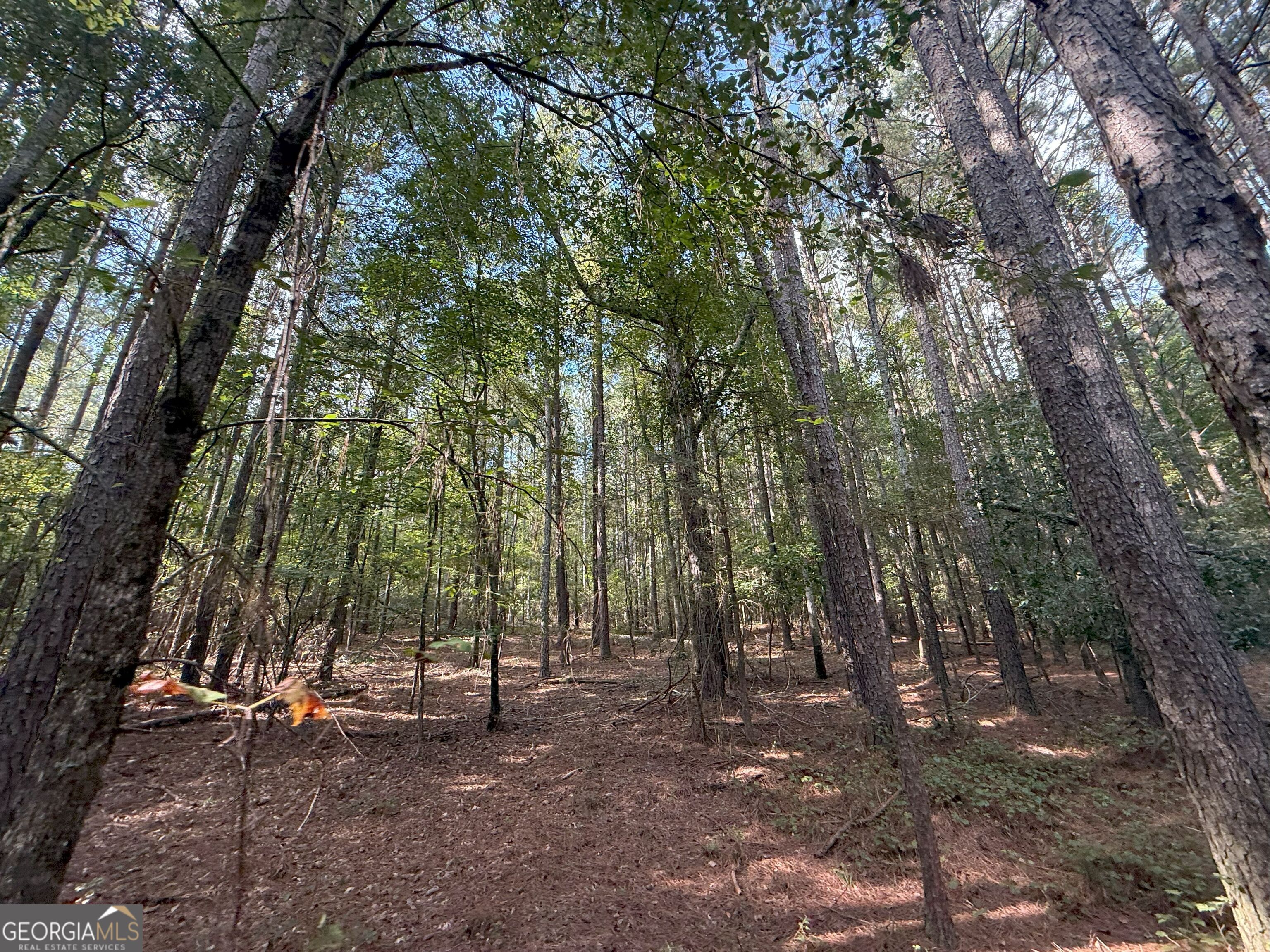 334 Oconee Forest Road