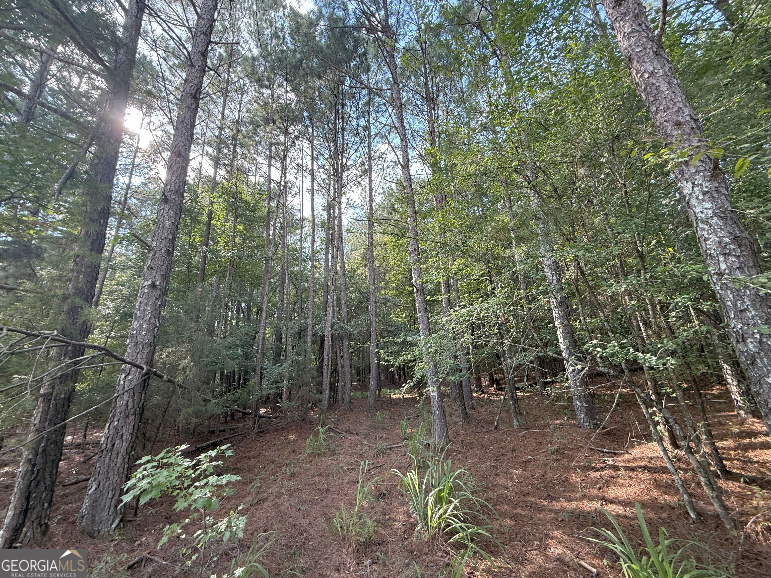 334 Oconee Forest Road