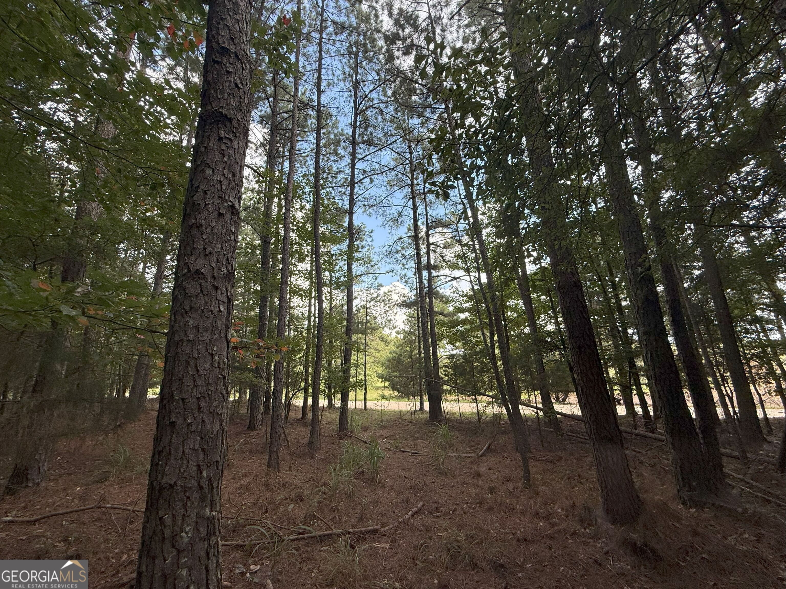 334 Oconee Forest Road