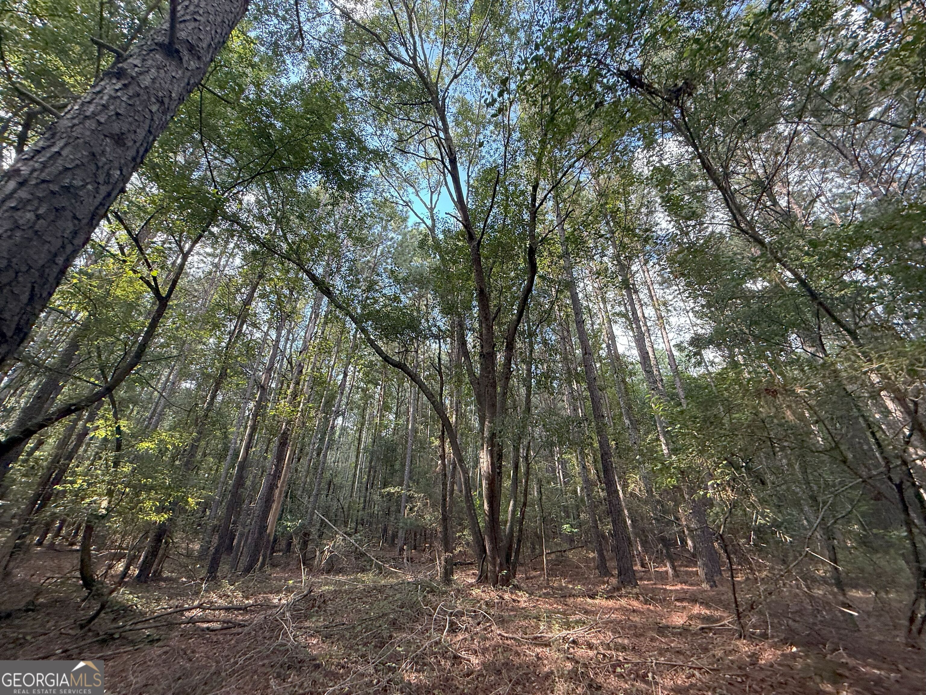 334 Oconee Forest Road