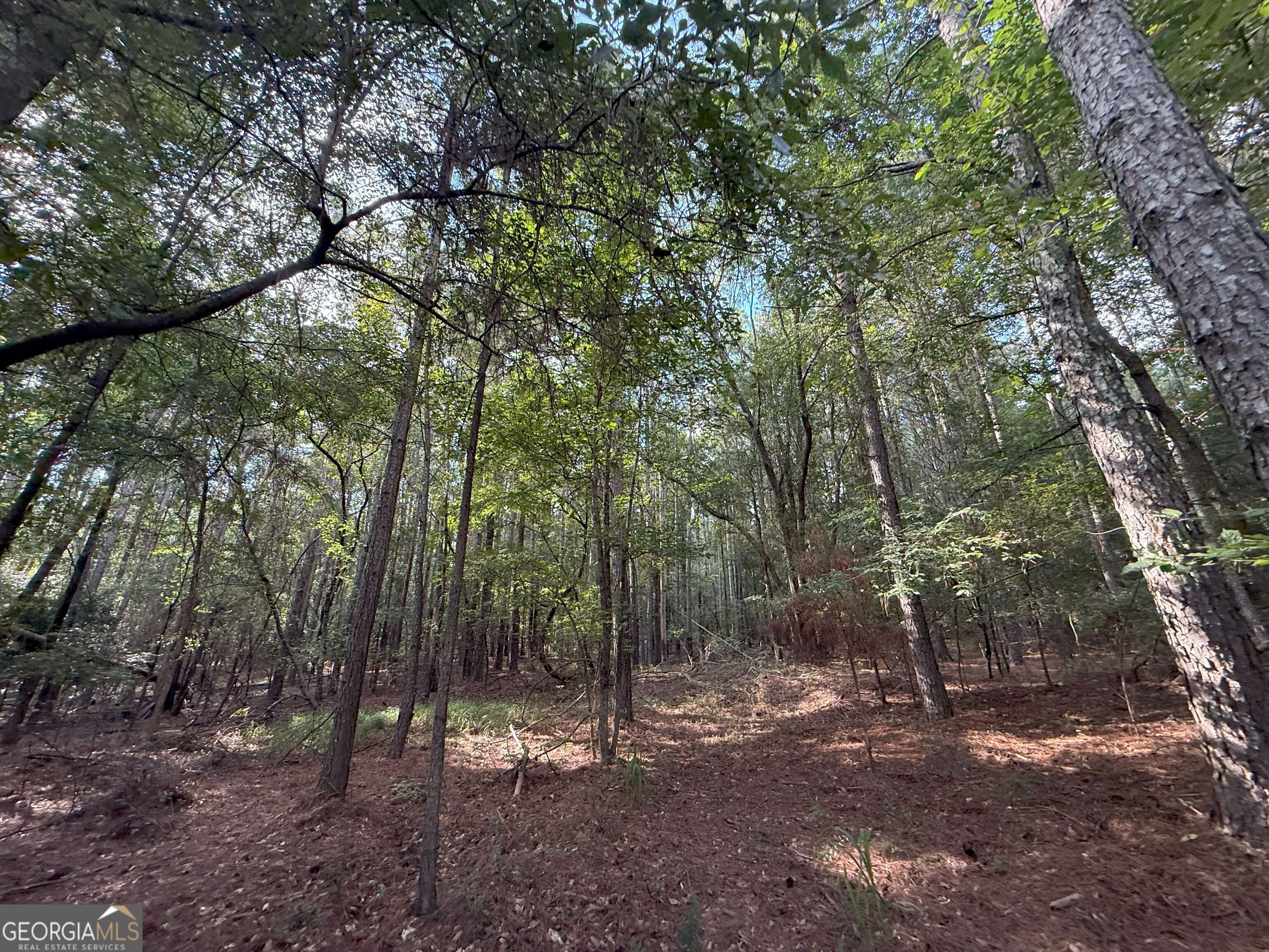 334 Oconee Forest Road