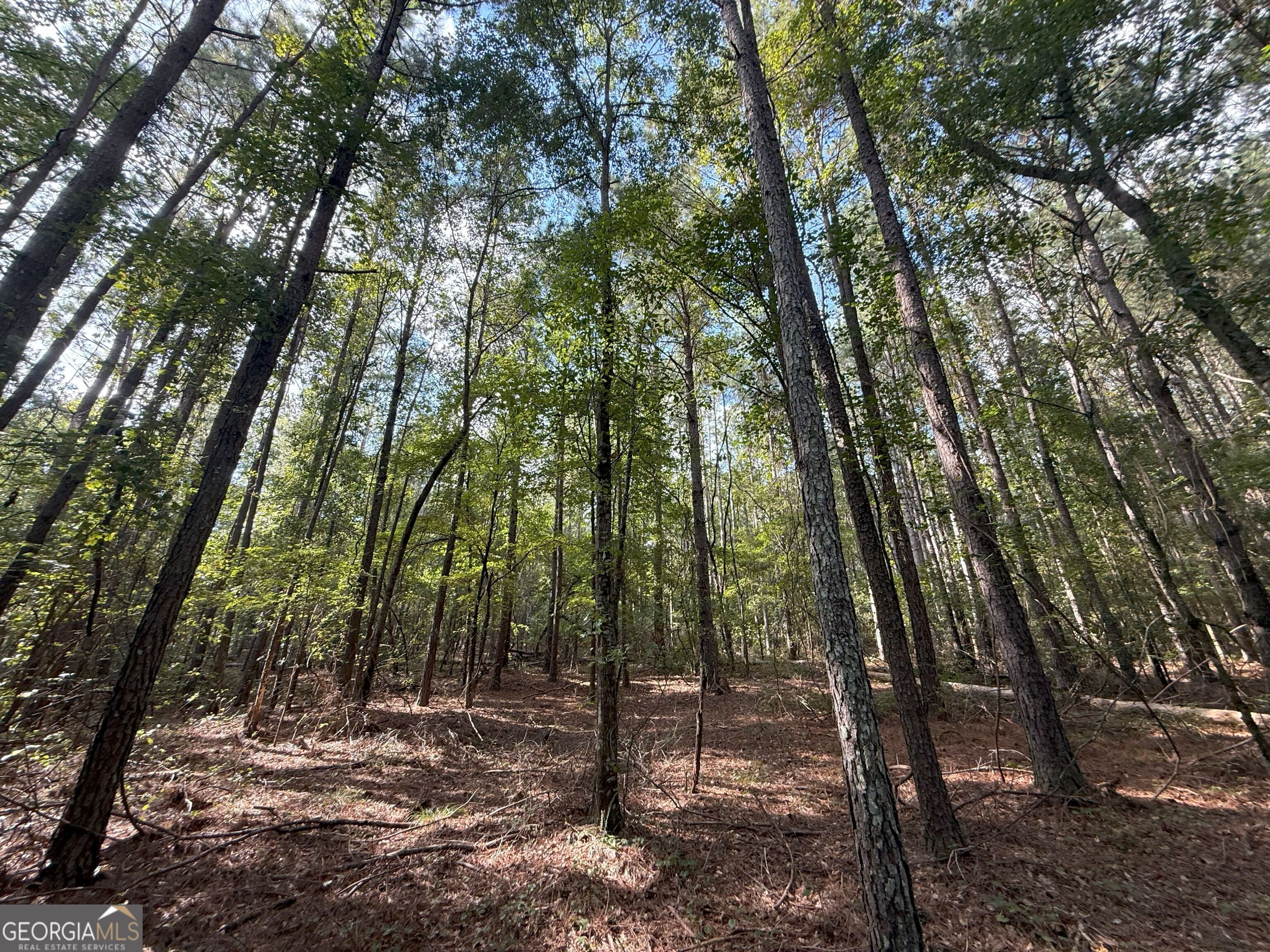 334 Oconee Forest Road