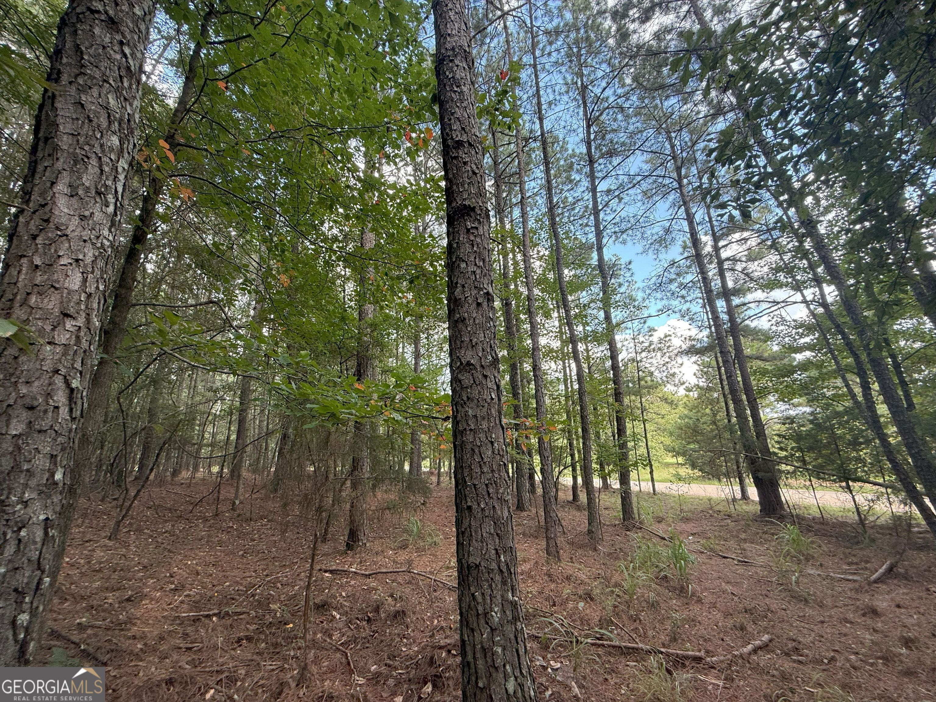 334 Oconee Forest Road