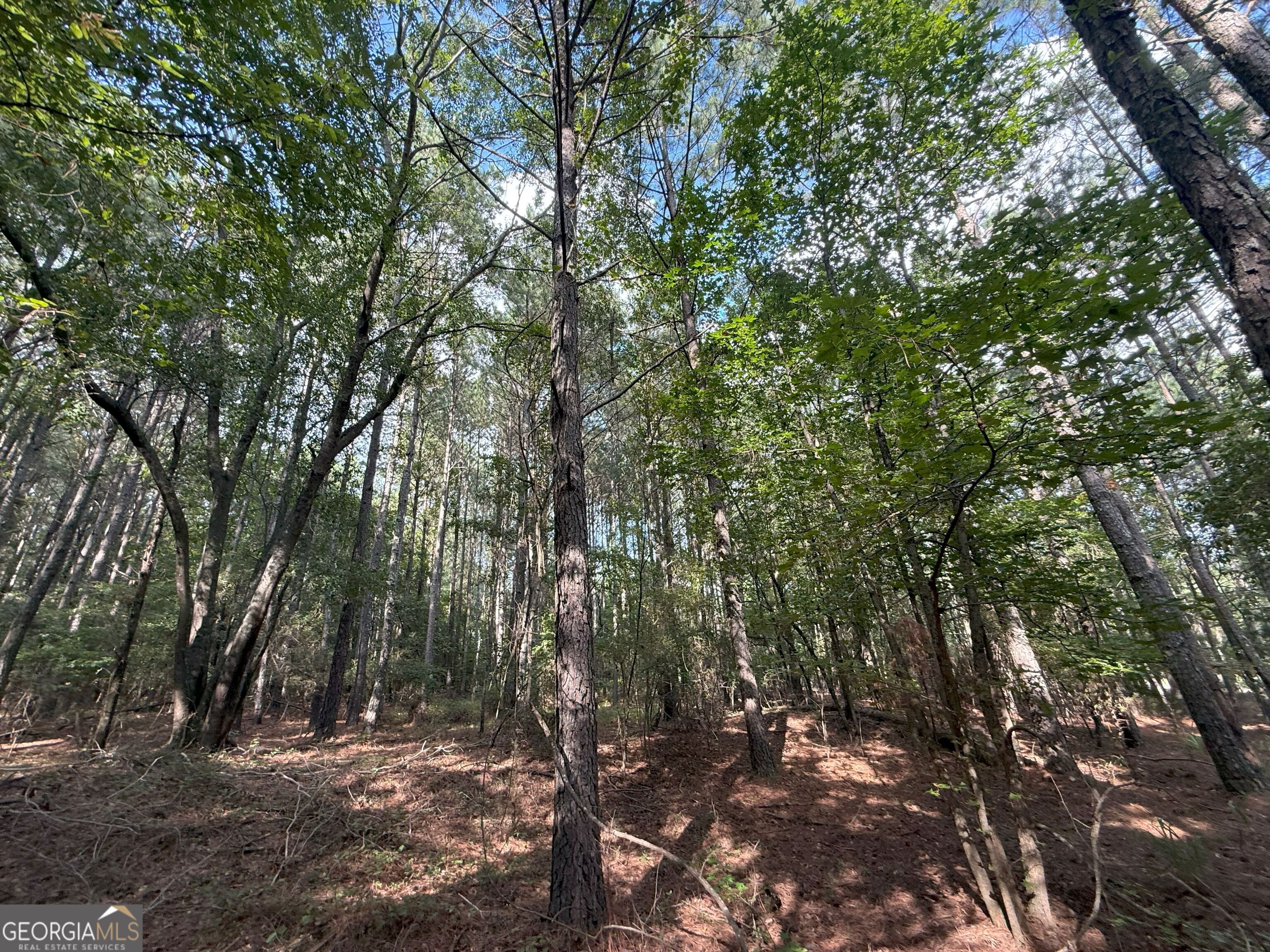 334 Oconee Forest Road