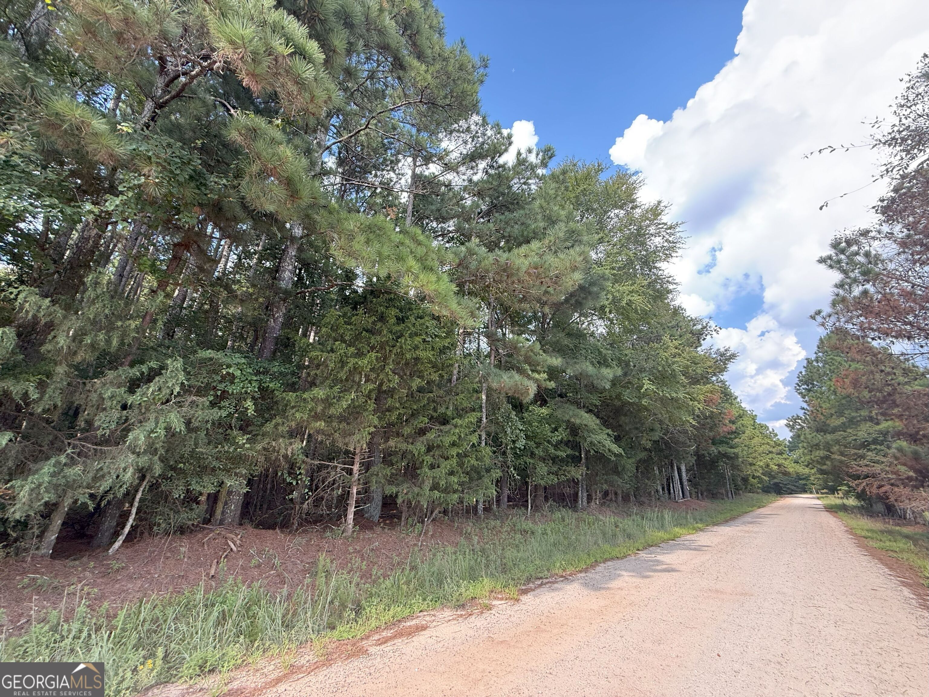 334 Oconee Forest Road