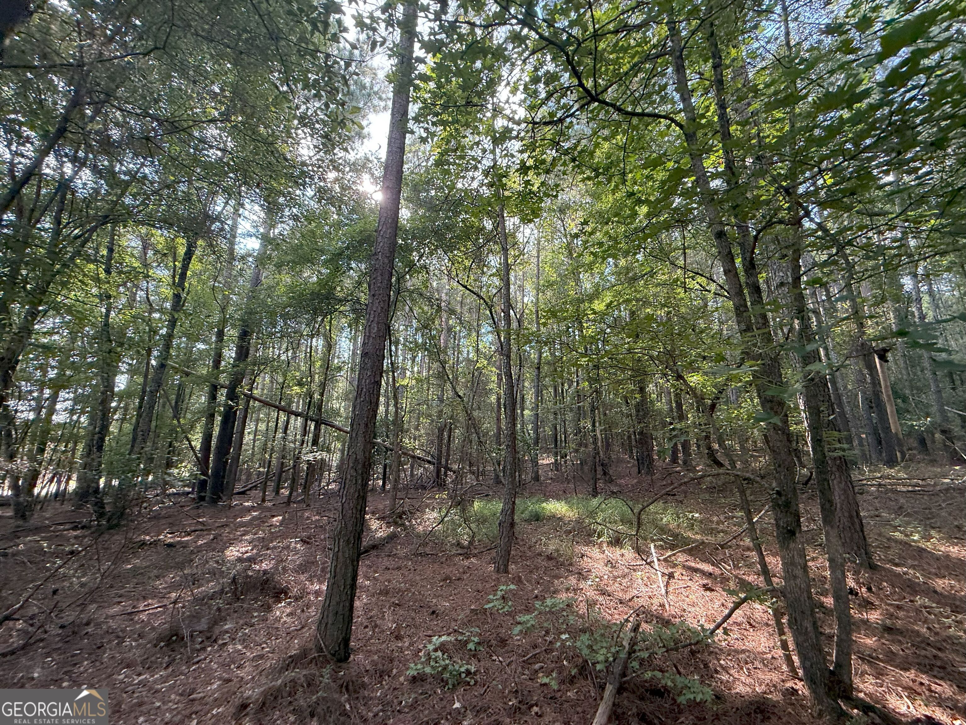 334 Oconee Forest Road