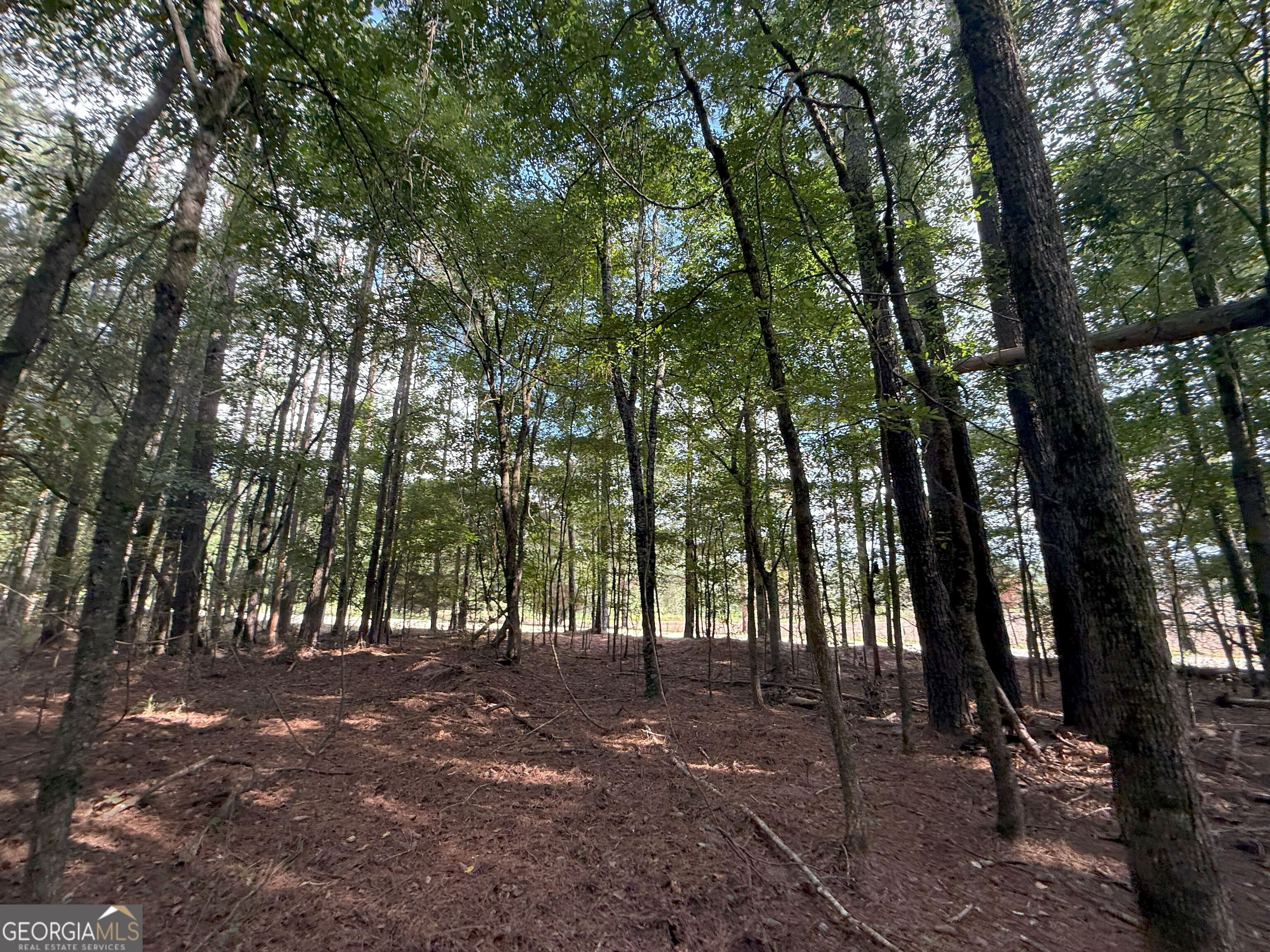 334 Oconee Forest Road