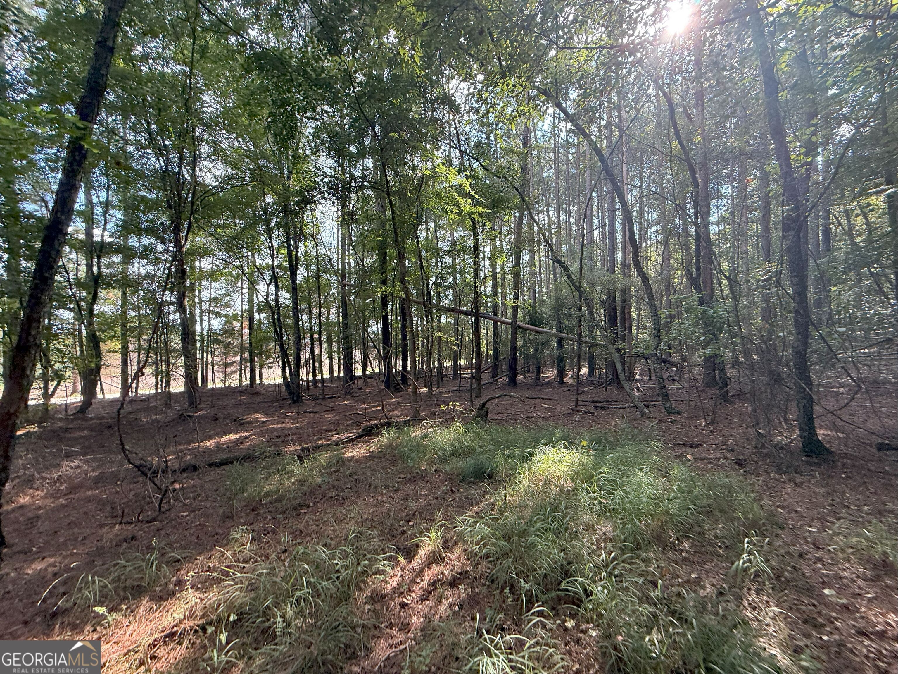 334 Oconee Forest Road