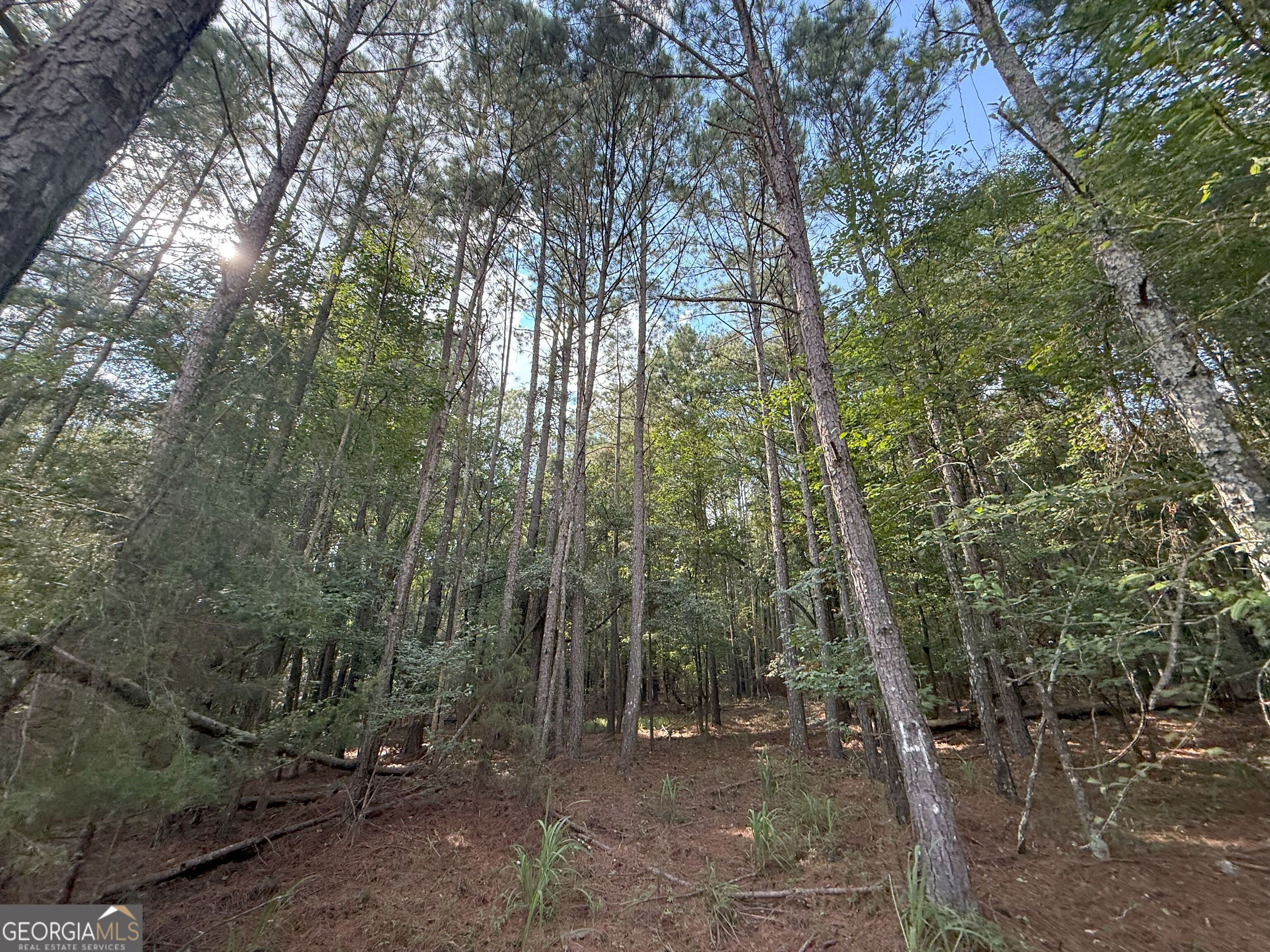 334 Oconee Forest Road