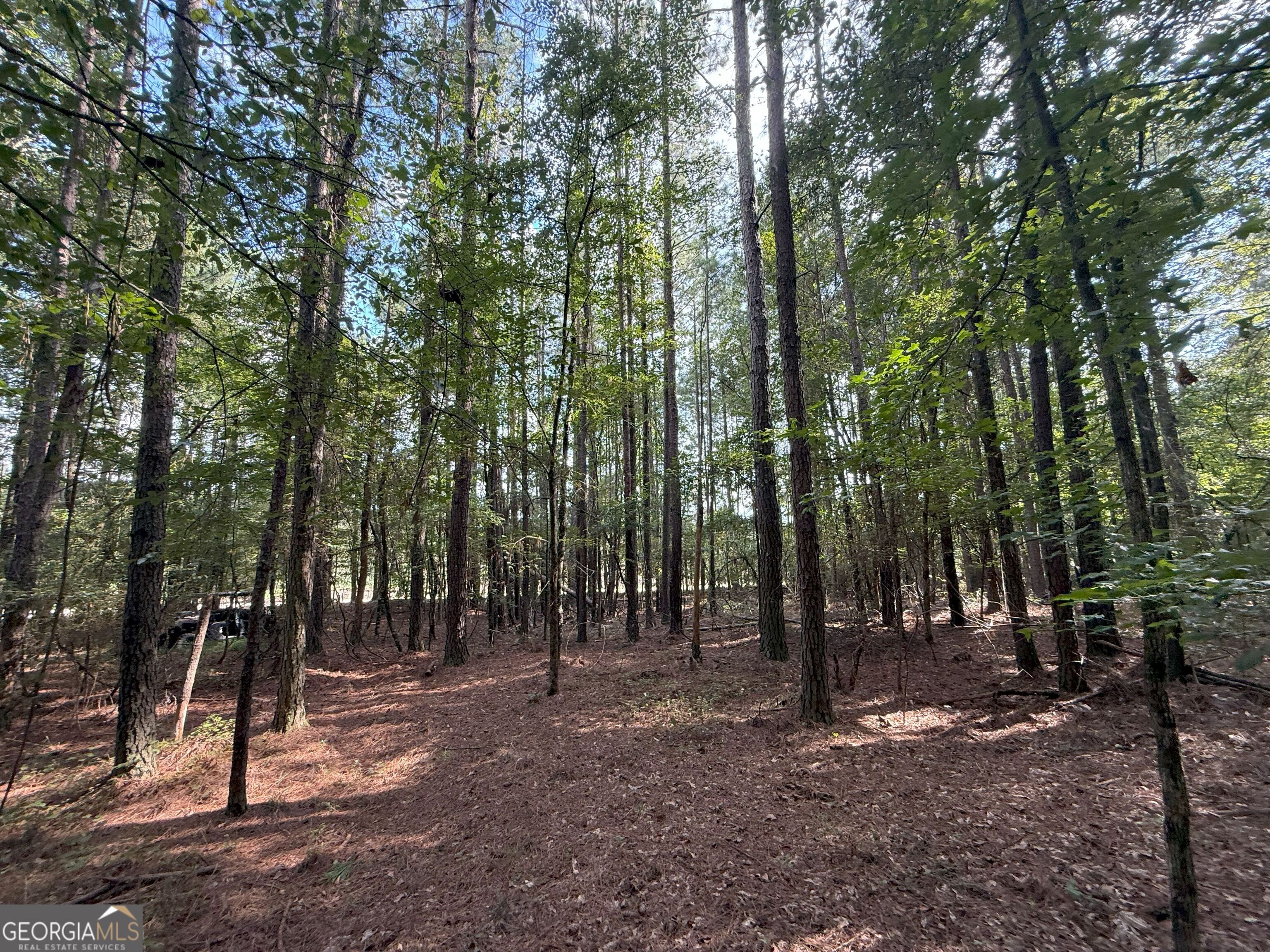334 Oconee Forest Road
