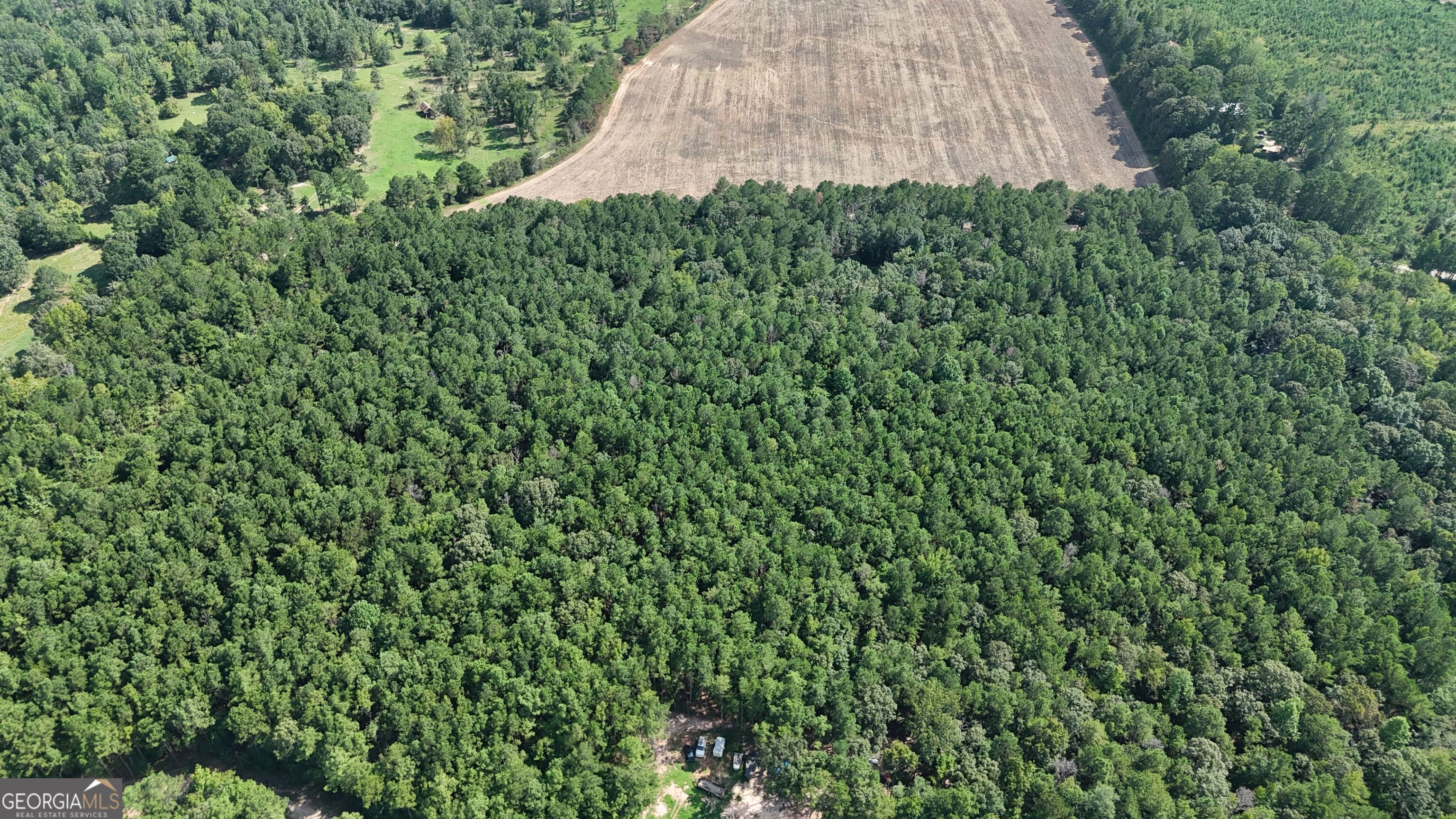 334 Oconee Forest Road