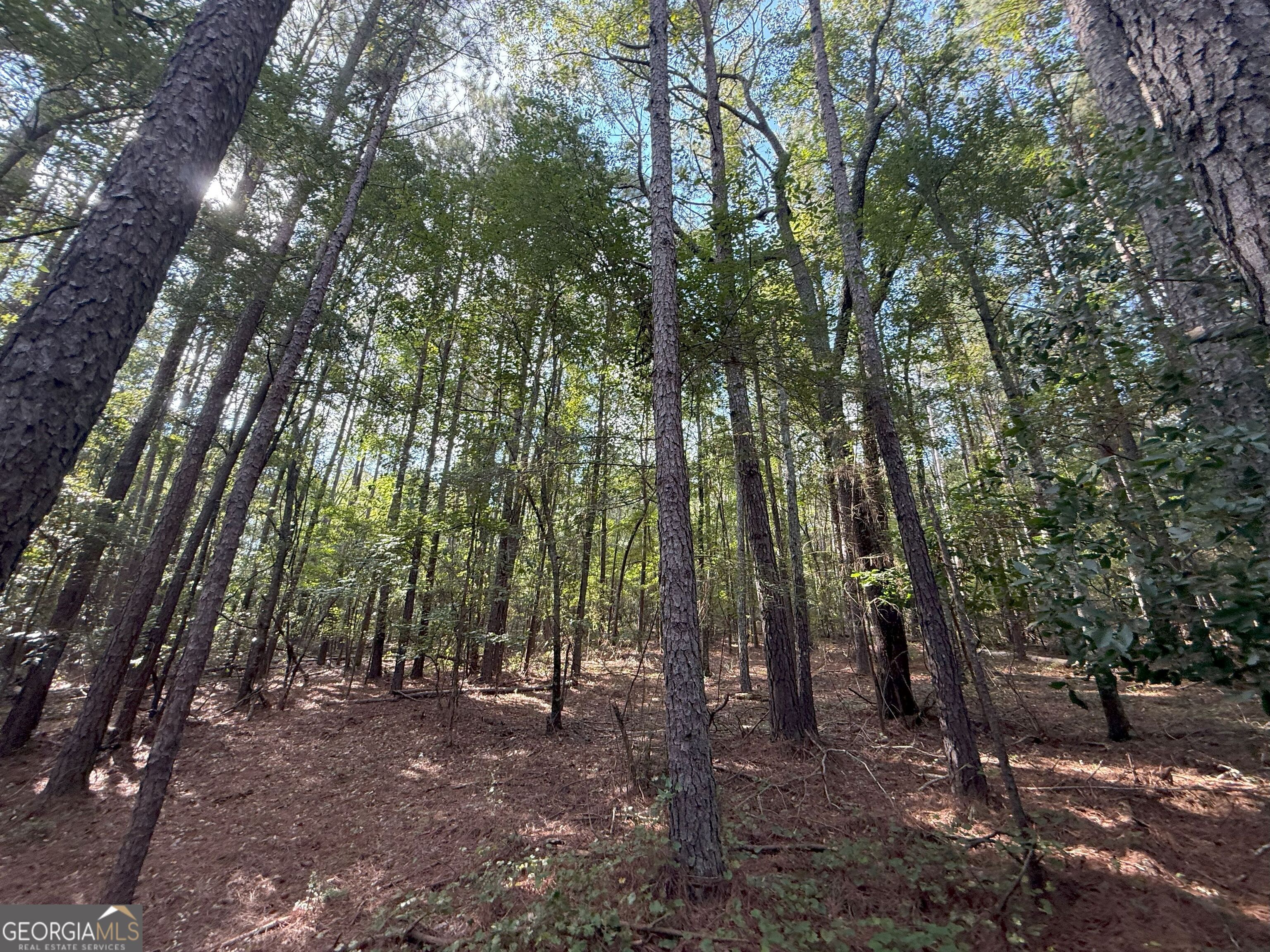 334 Oconee Forest Road