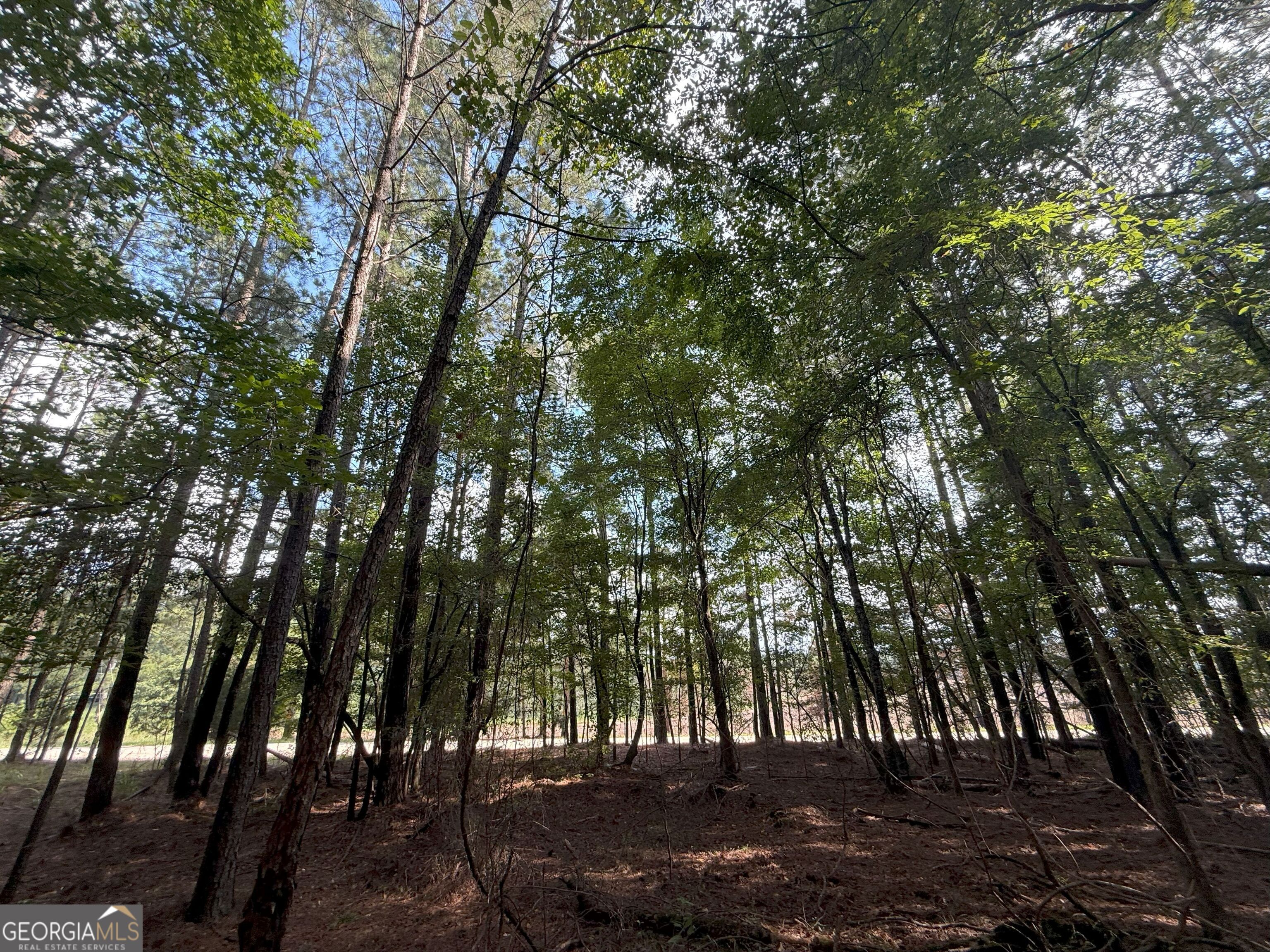 334 Oconee Forest Road