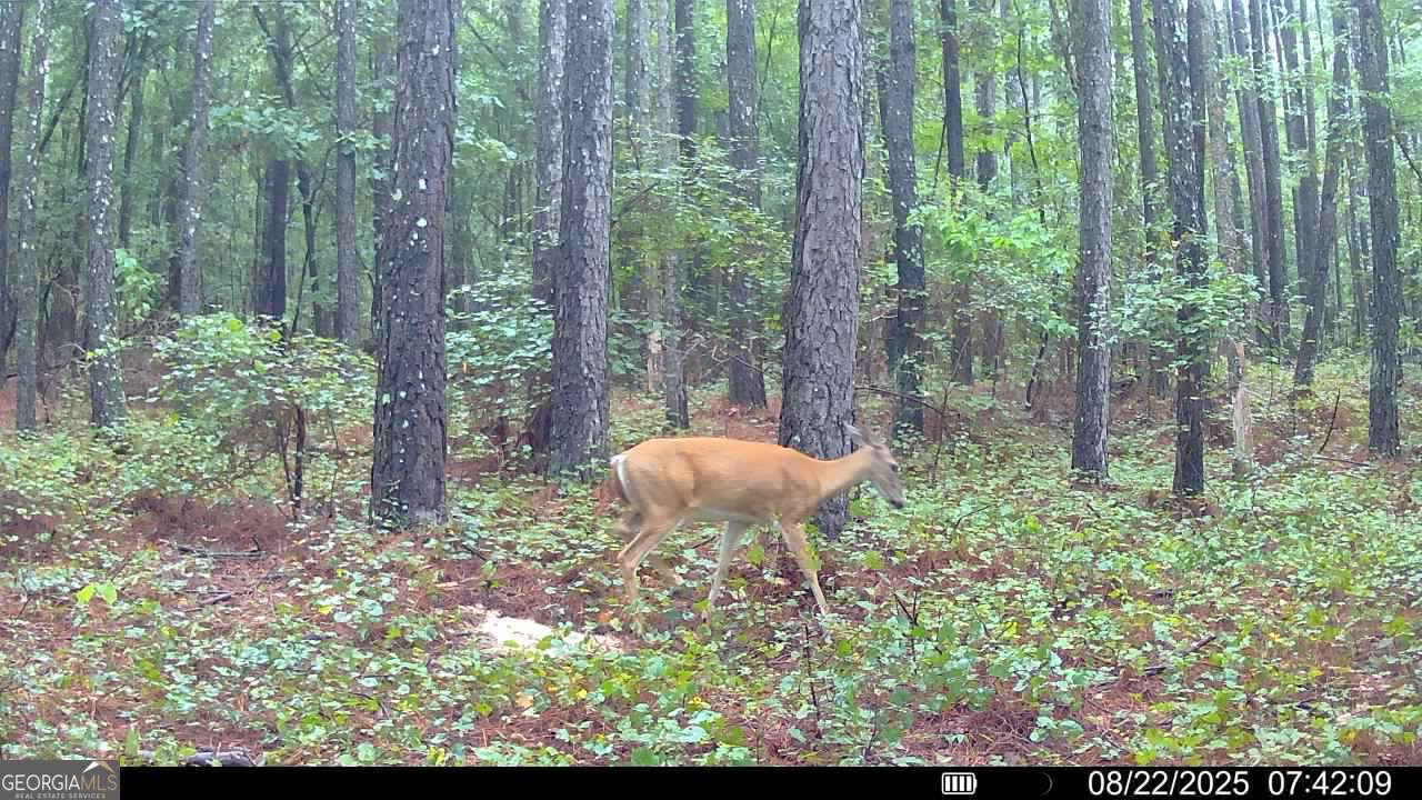 334 Oconee Forest Road