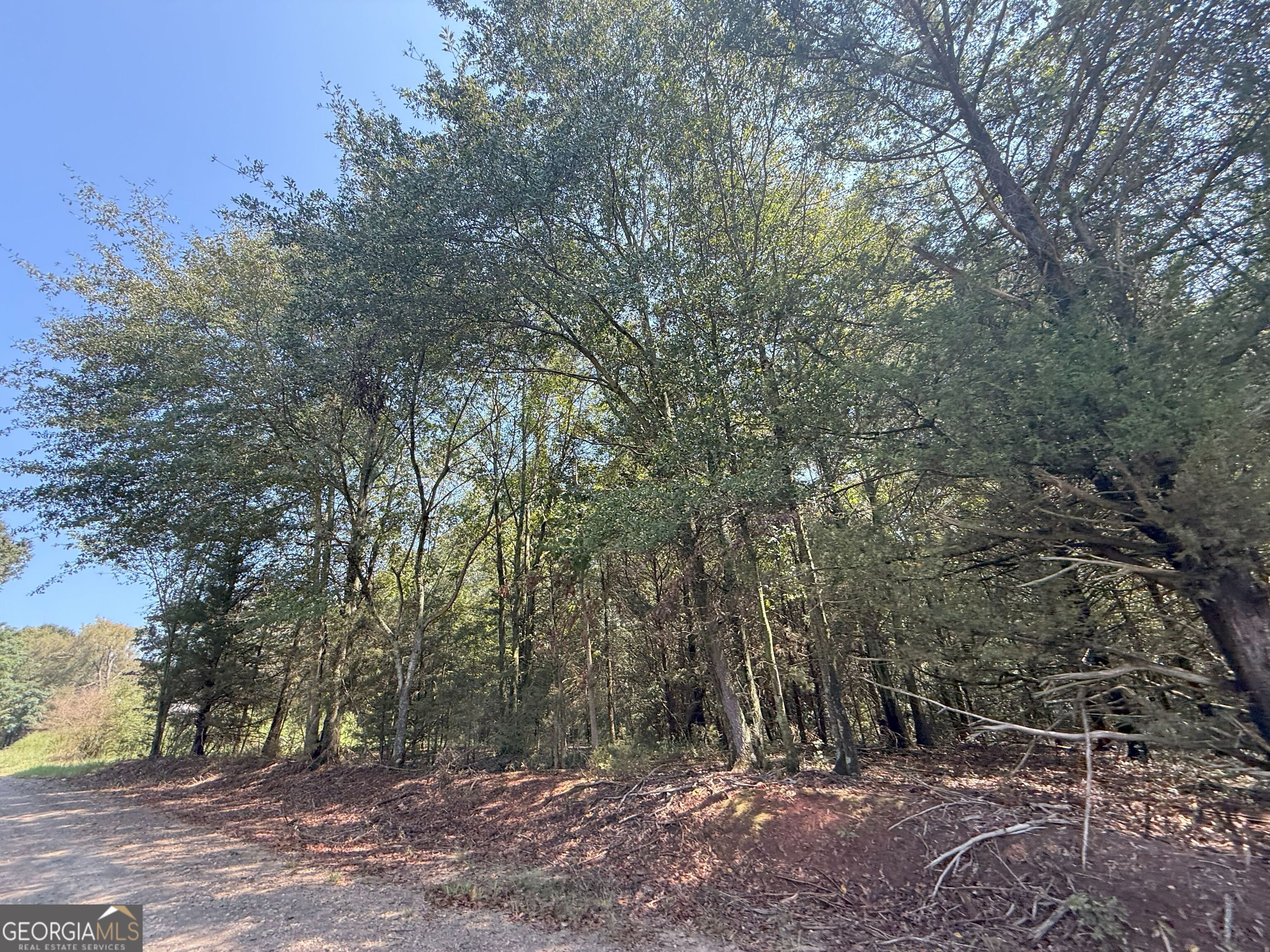 499 Aderhold Road