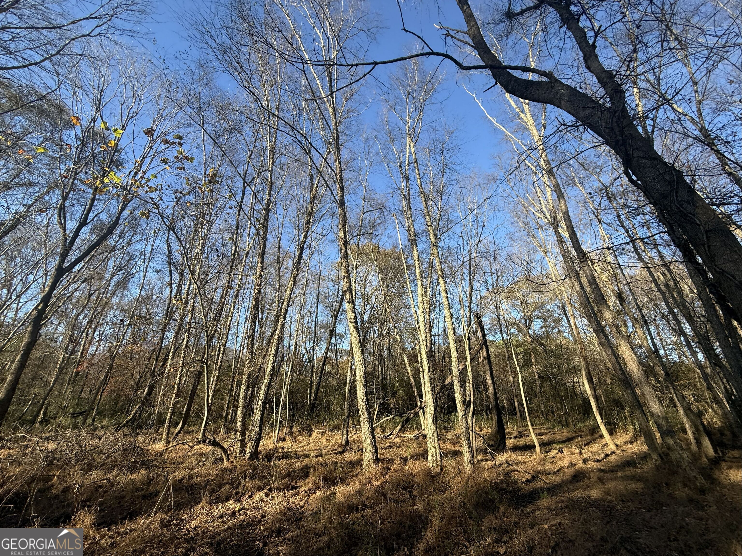 6 Wood Duck Drive