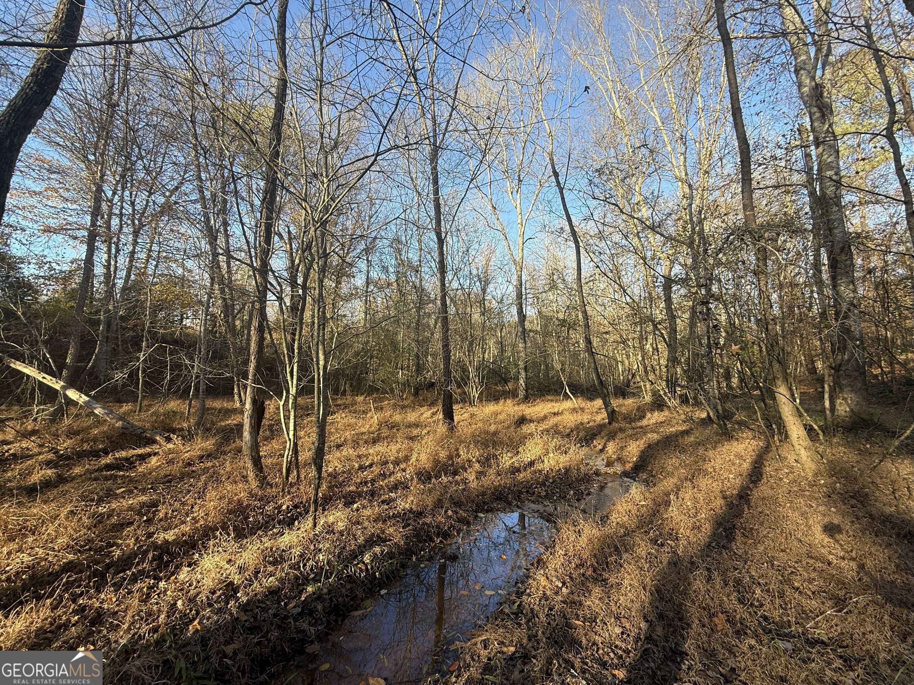 6 Wood Duck Drive
