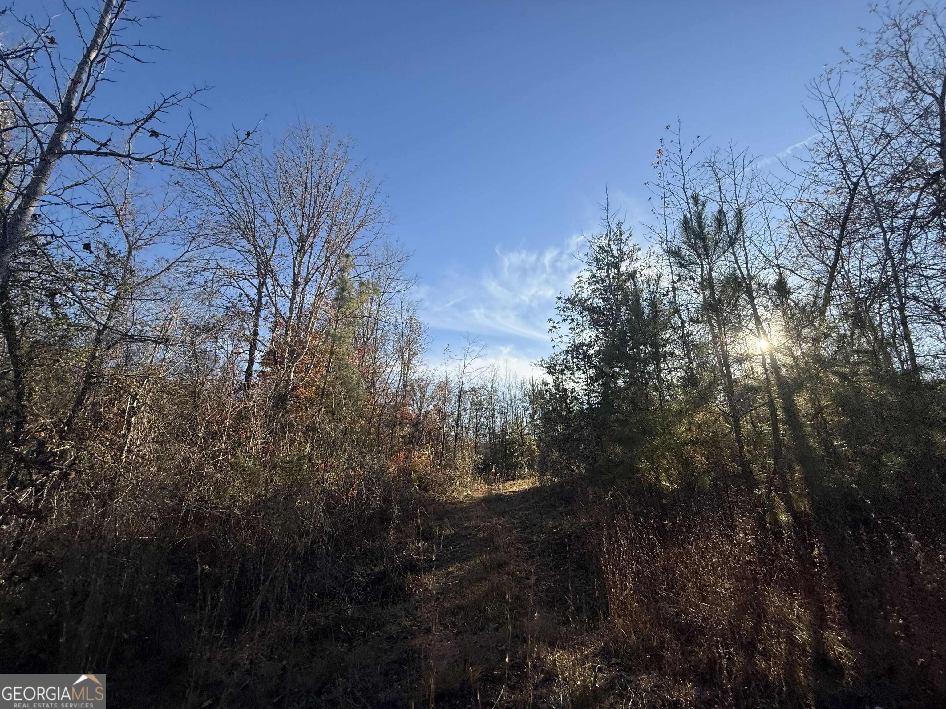 6 Wood Duck Drive