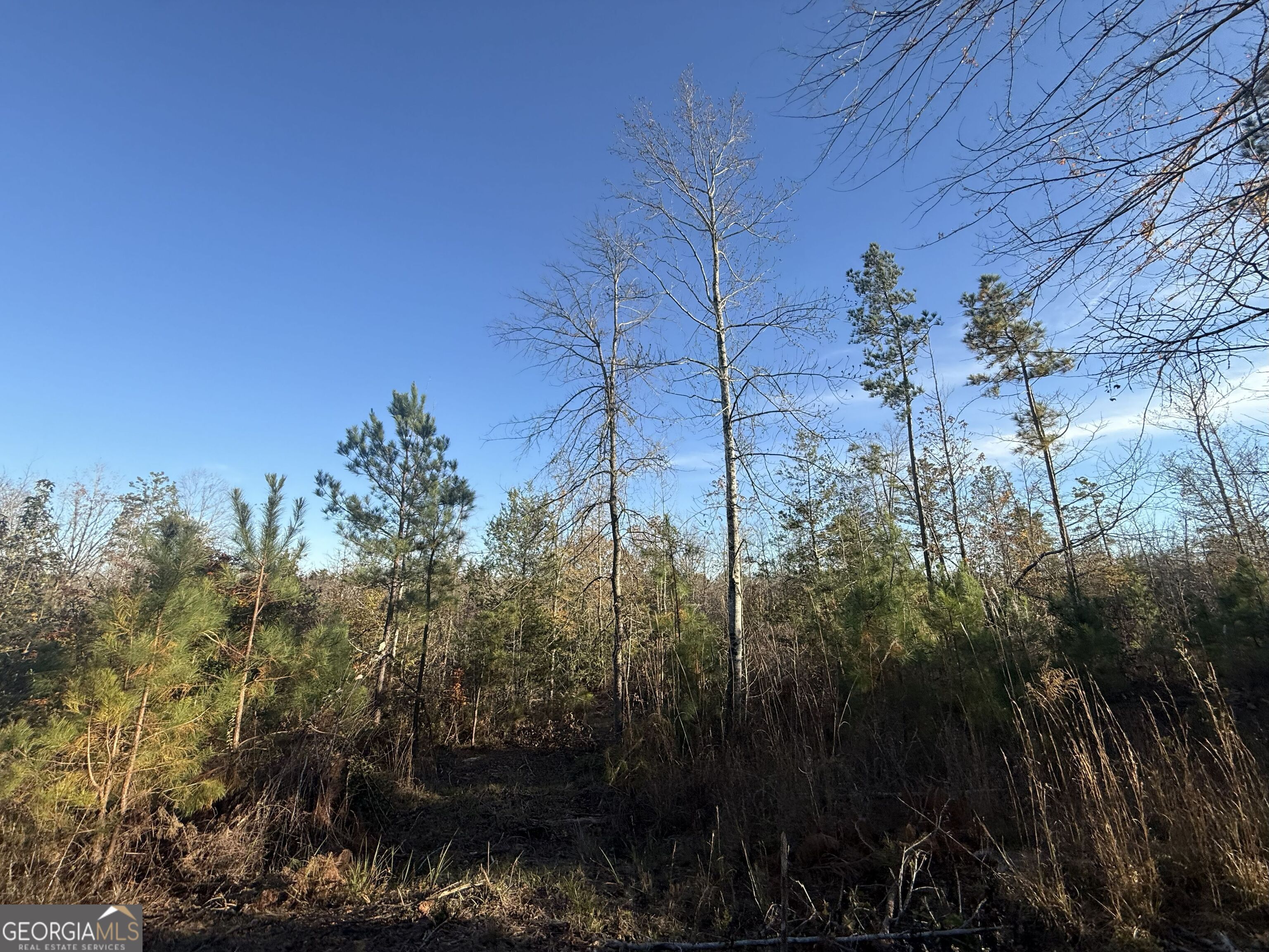 6 Wood Duck Drive