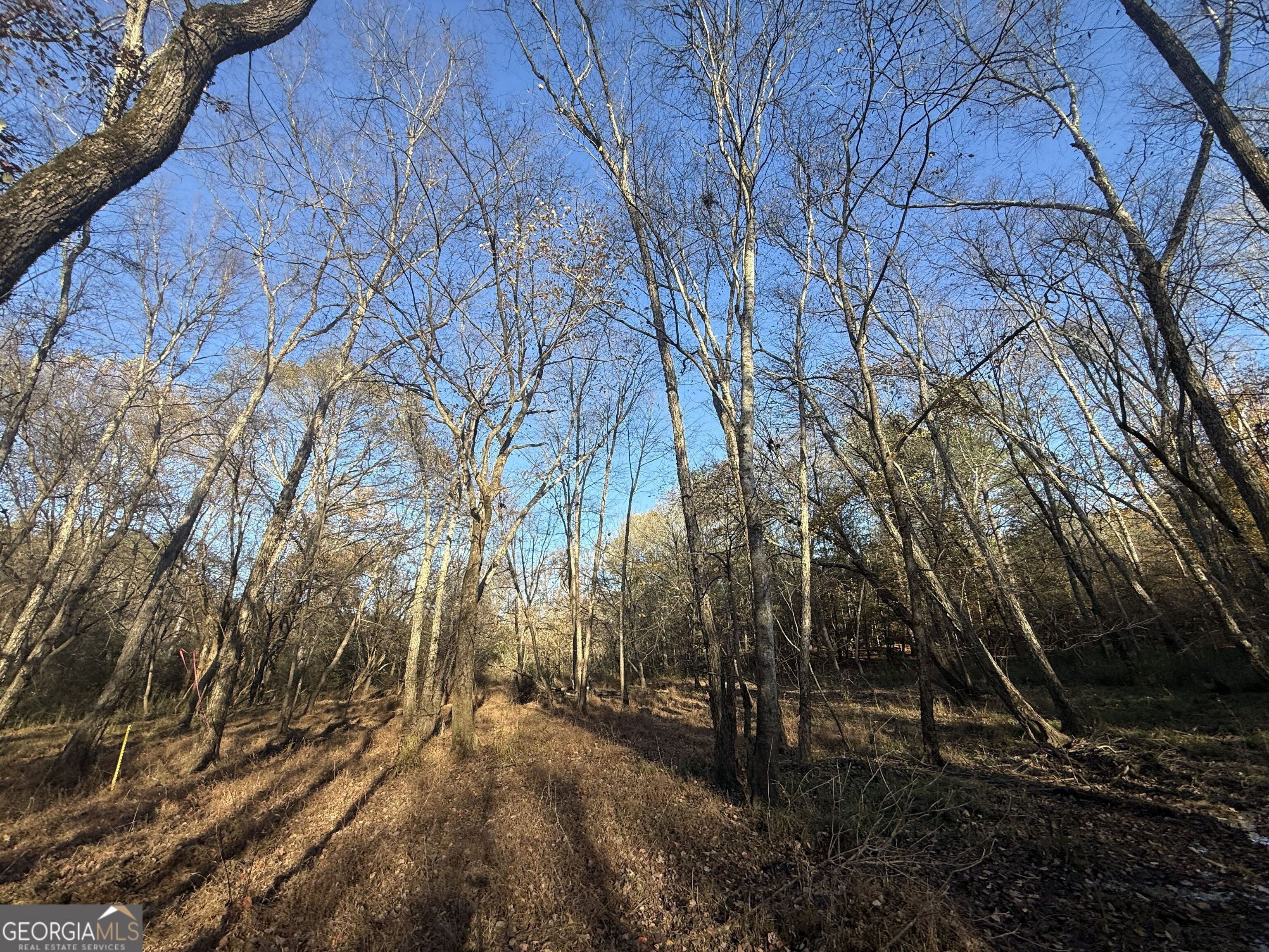 6 Wood Duck Drive