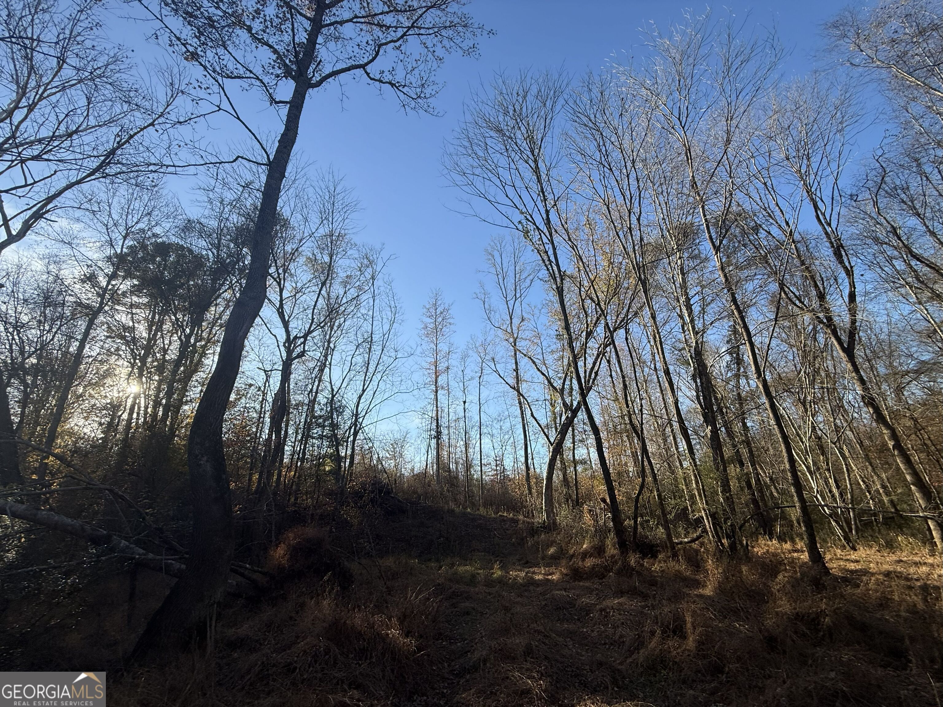 6 Wood Duck Drive