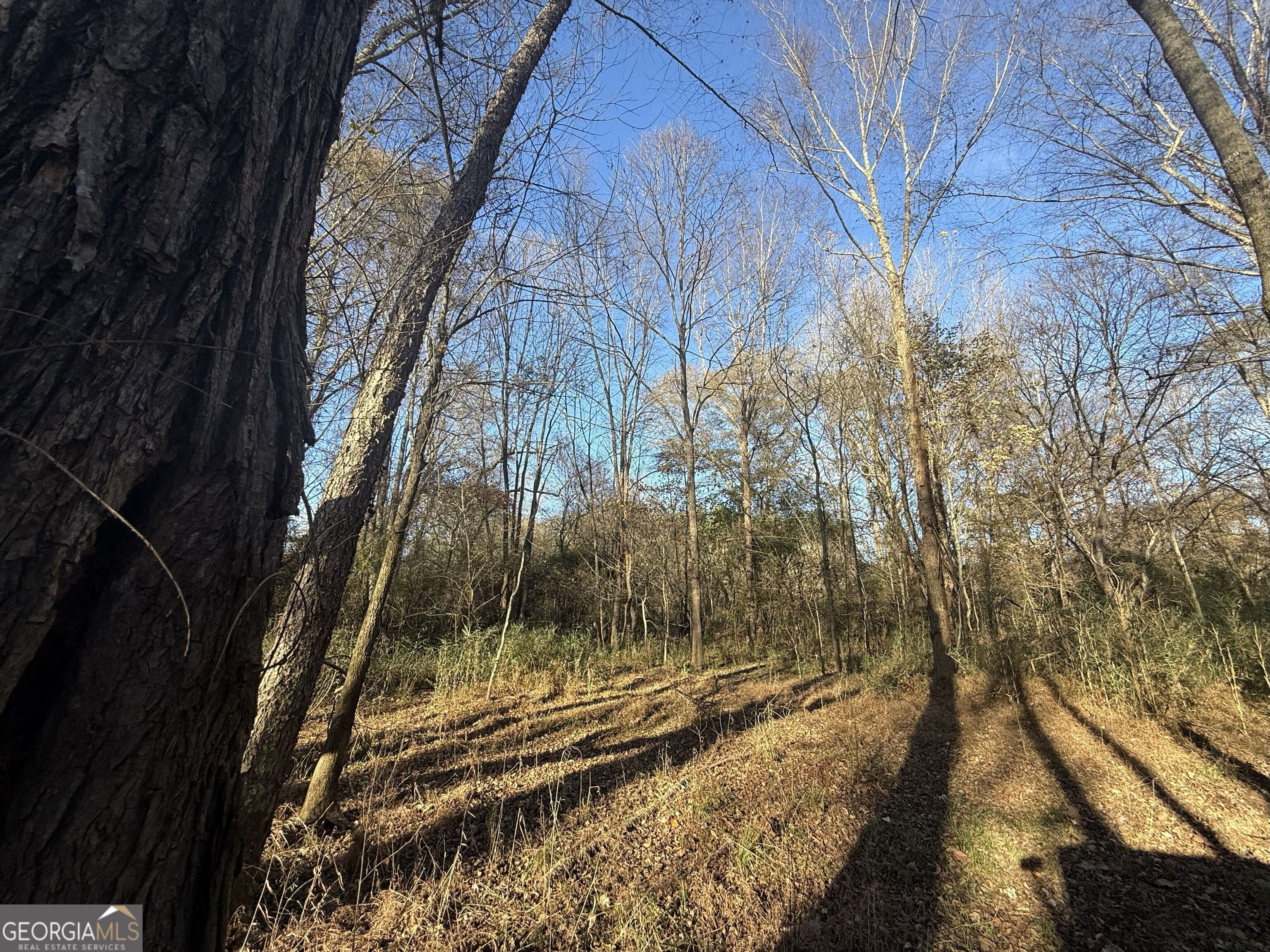 6 Wood Duck Drive