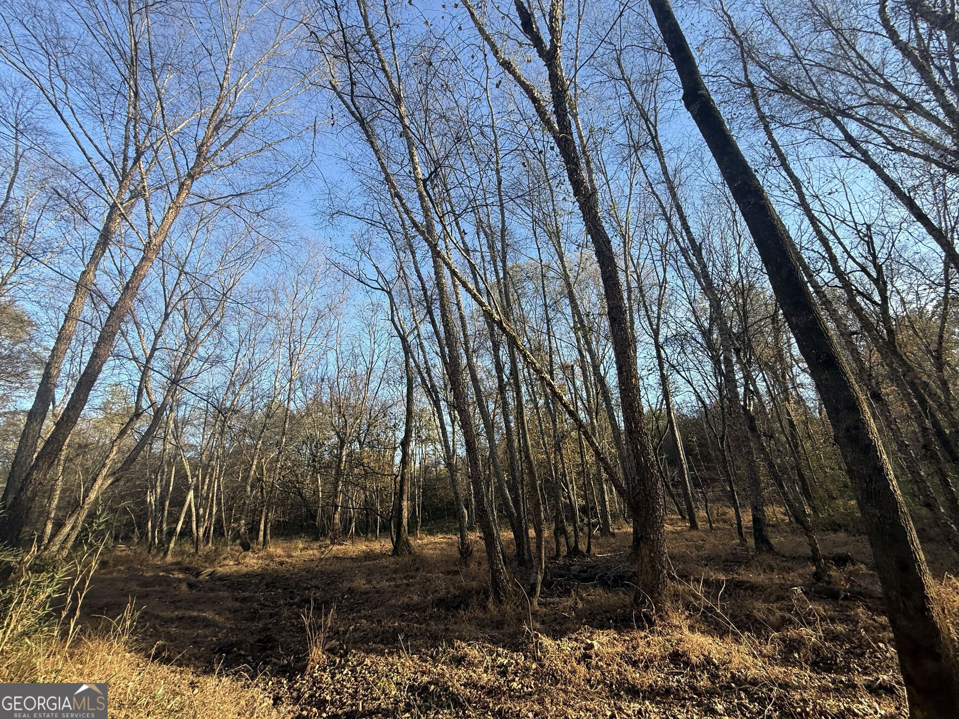 6 Wood Duck Drive