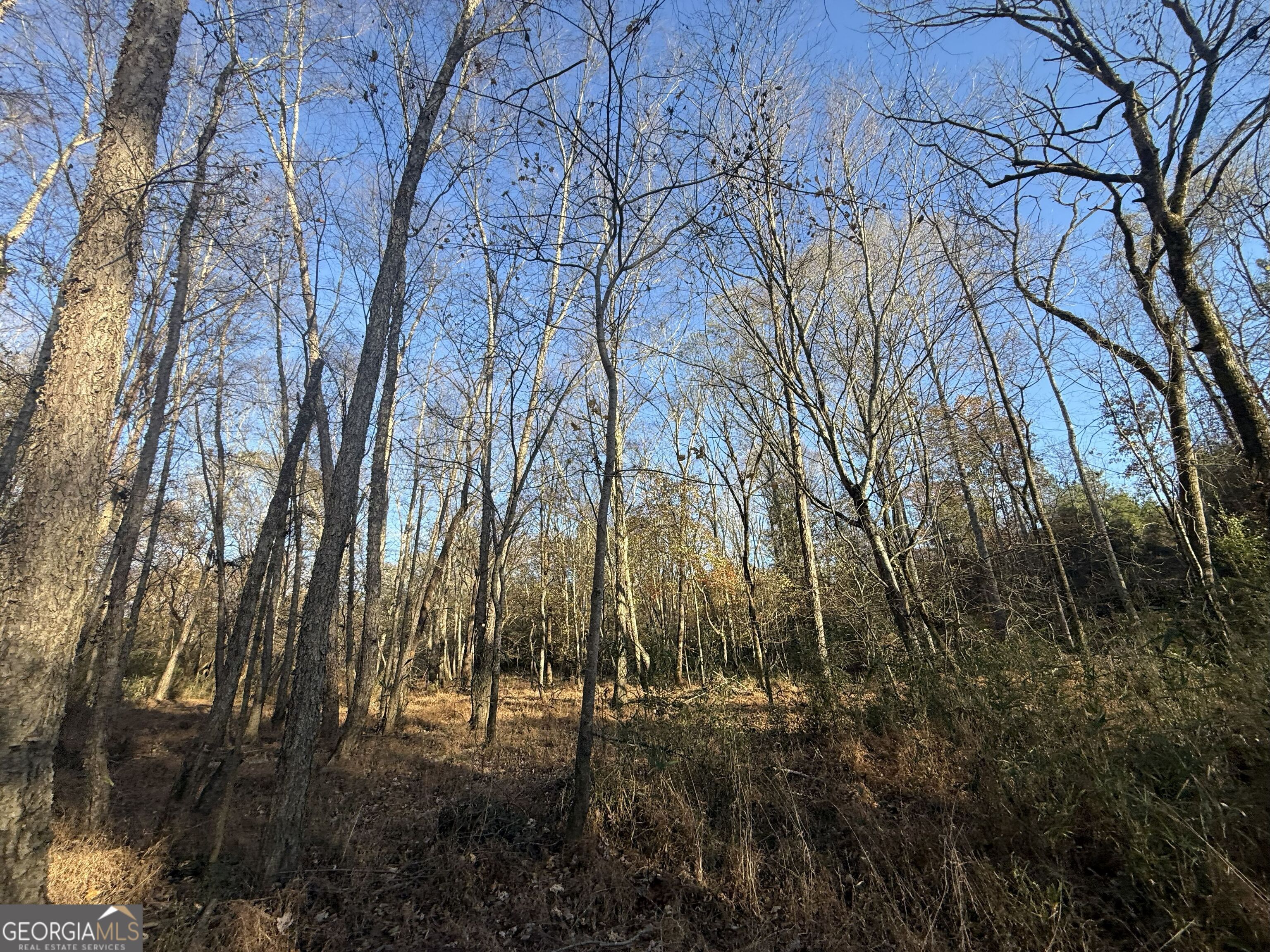 6 Wood Duck Drive