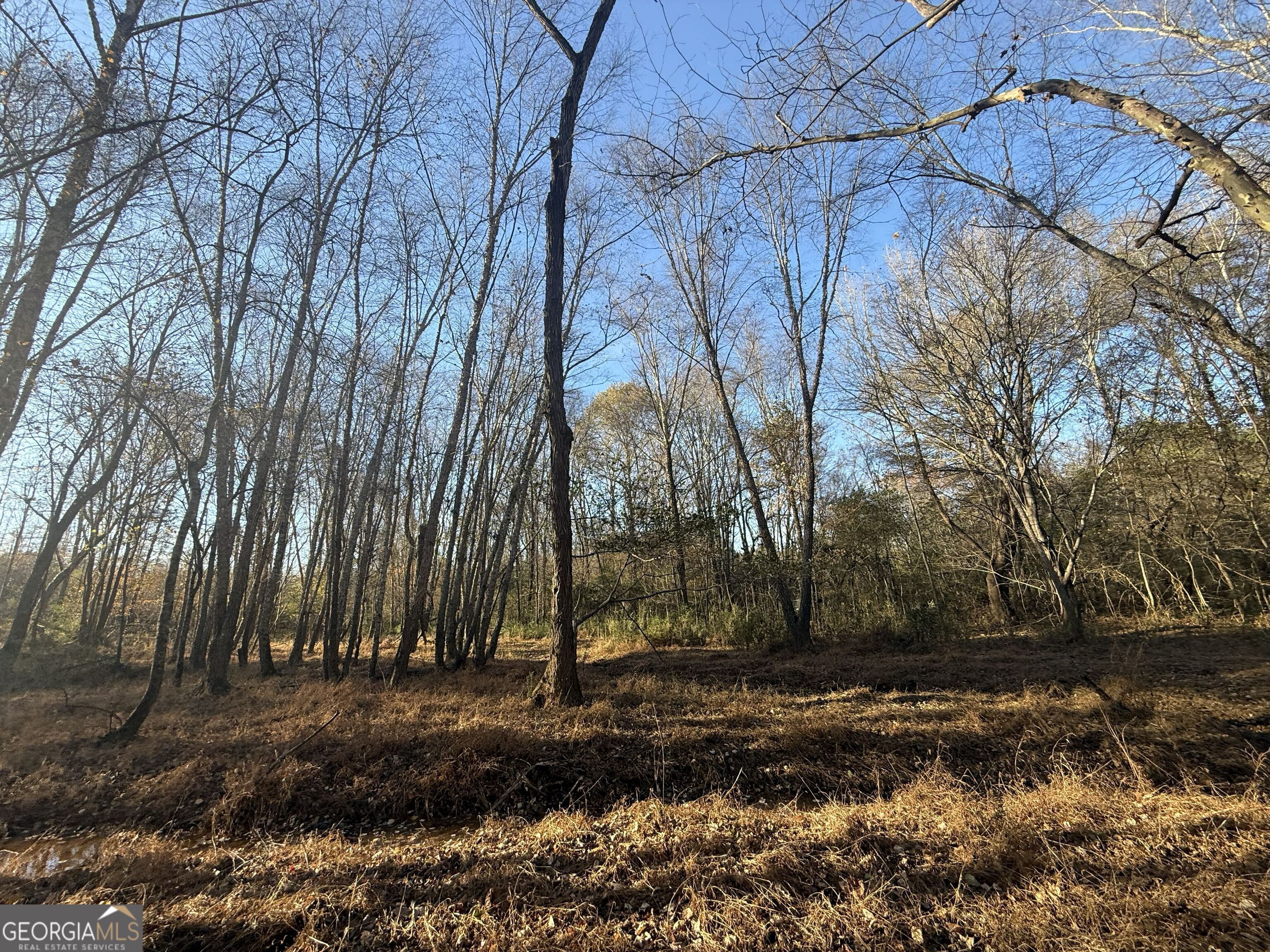 6 Wood Duck Drive