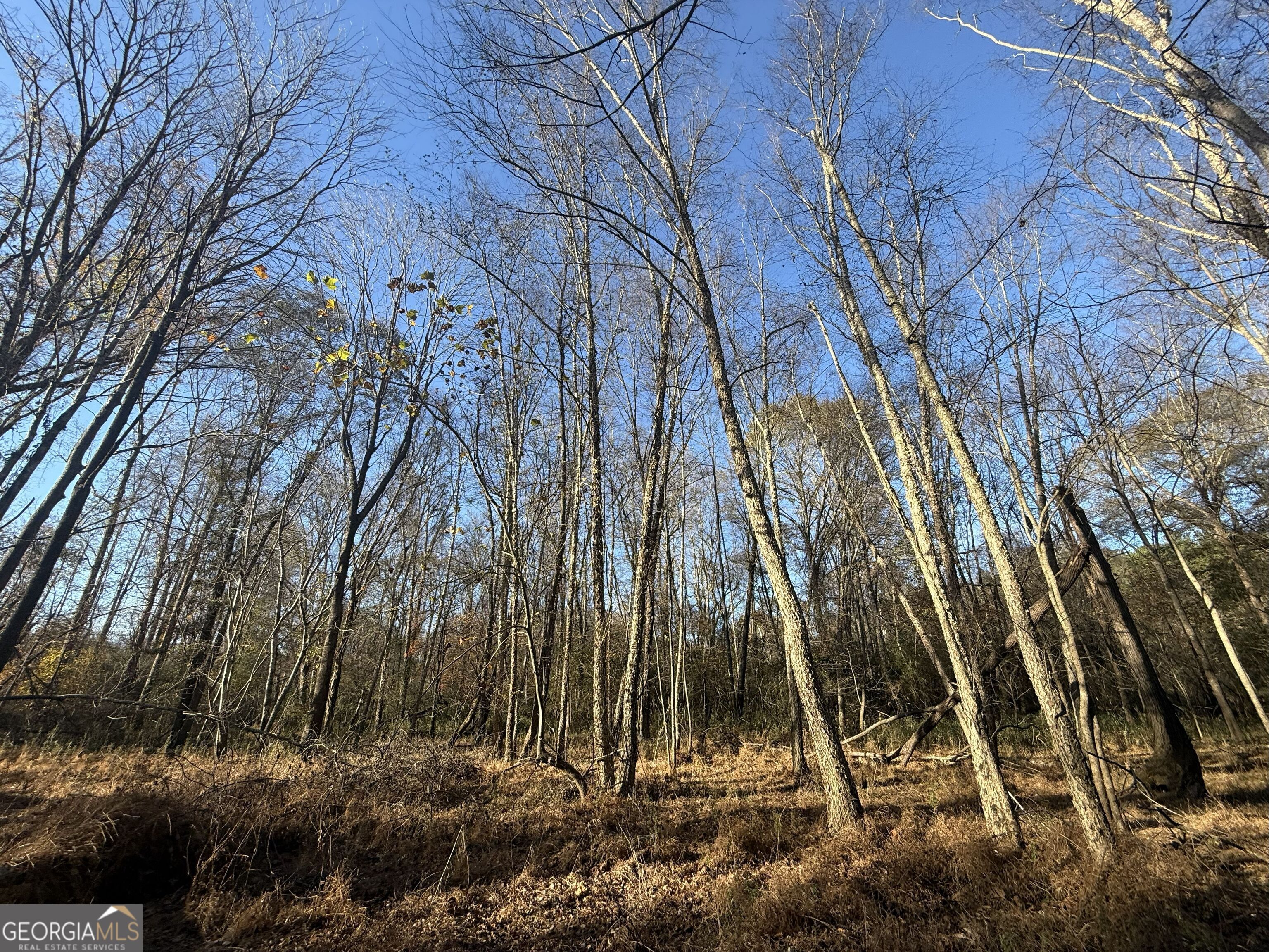 6 Wood Duck Drive