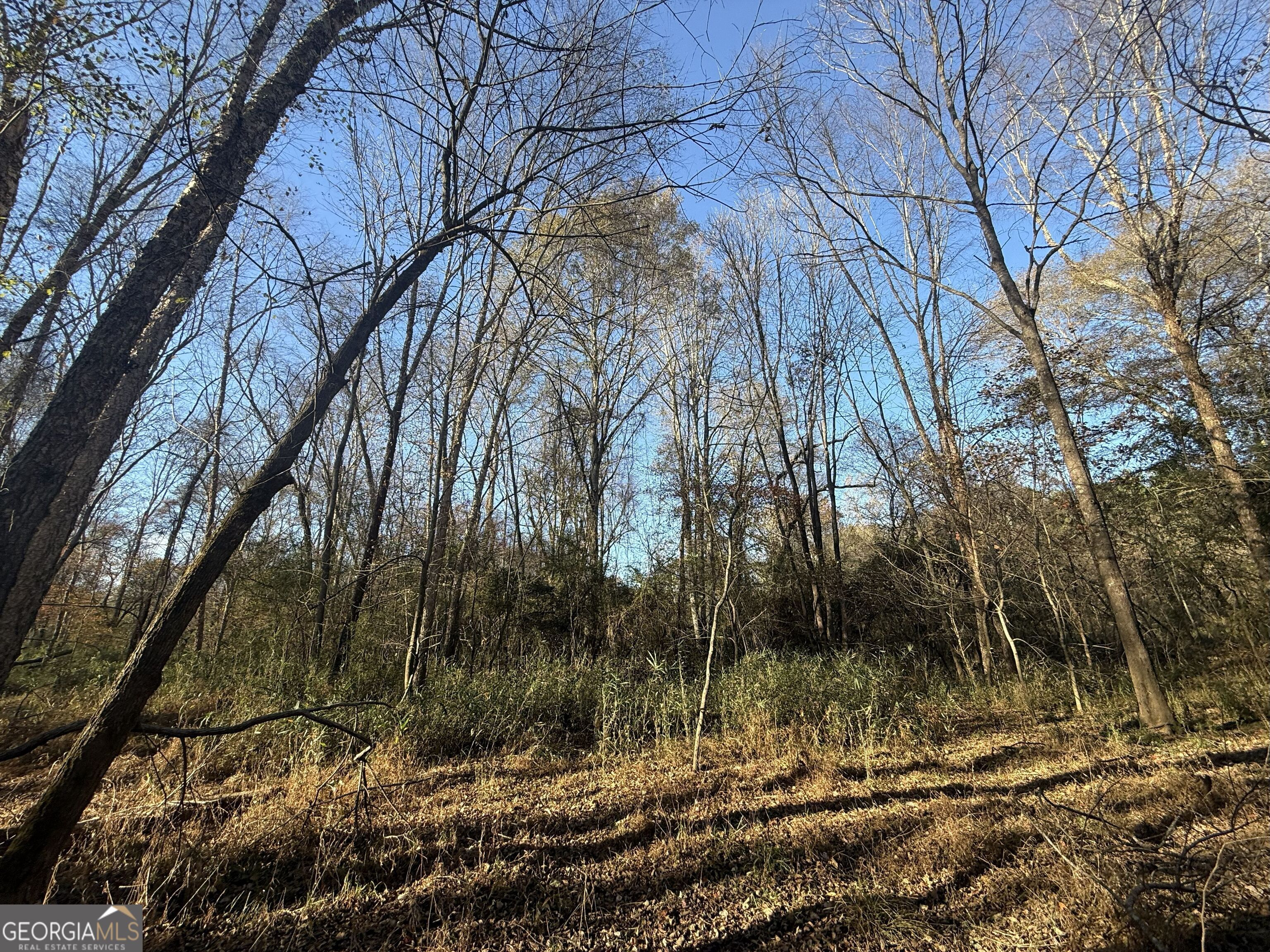 6 Wood Duck Drive