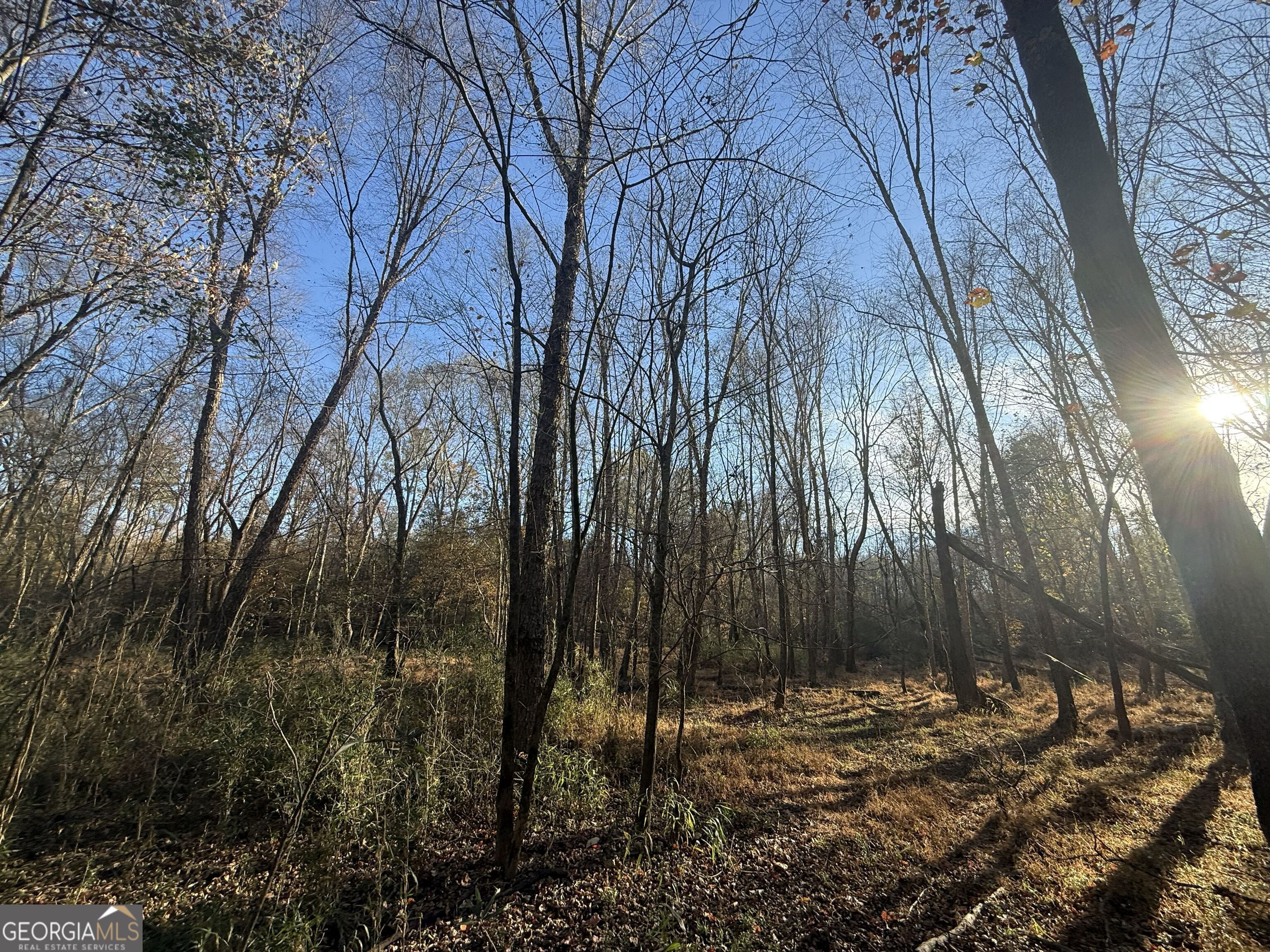 6 Wood Duck Drive