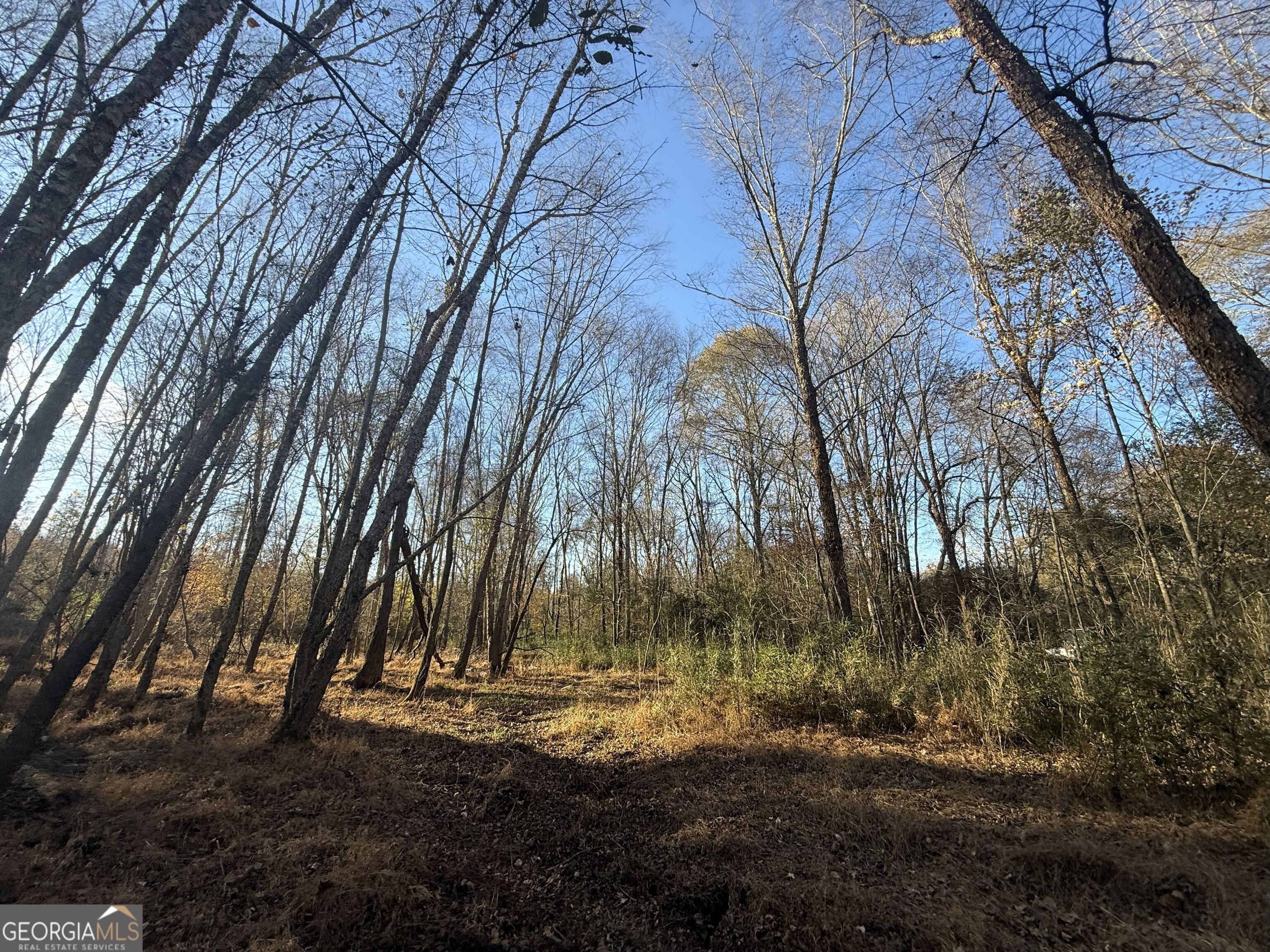 6 Wood Duck Drive