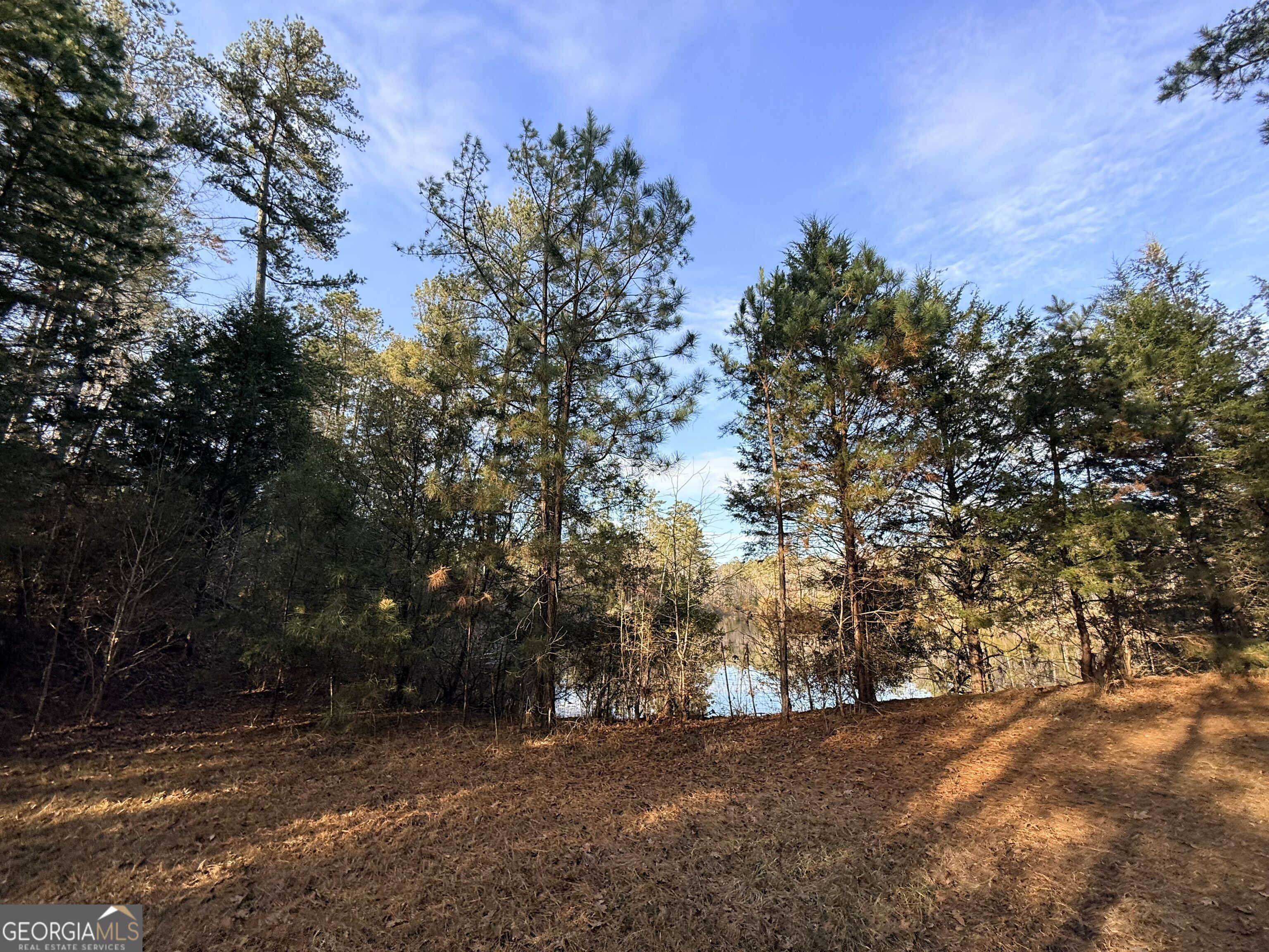 1027 Shank Road