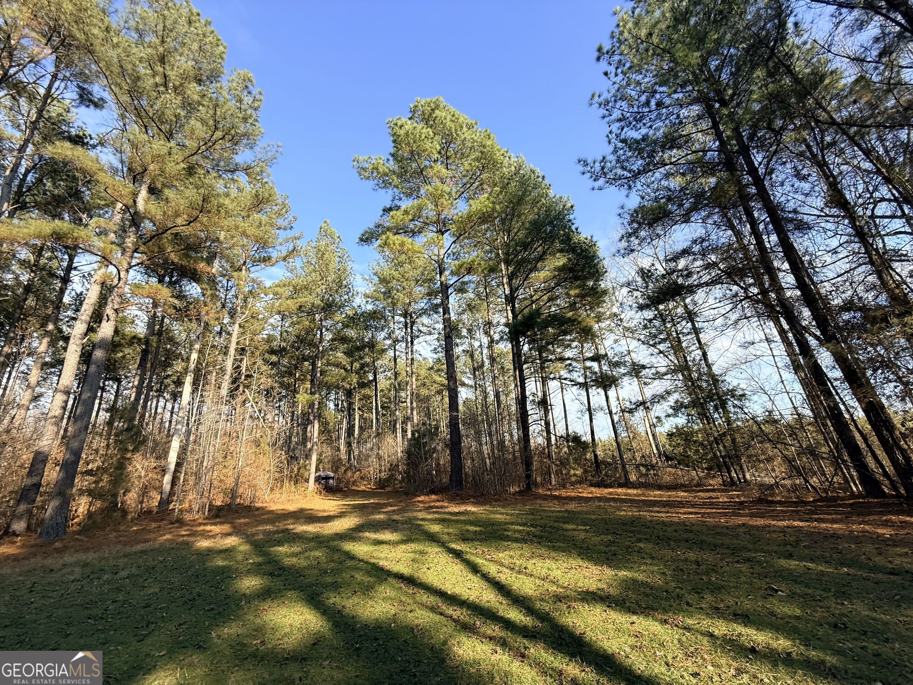 1027 Shank Road