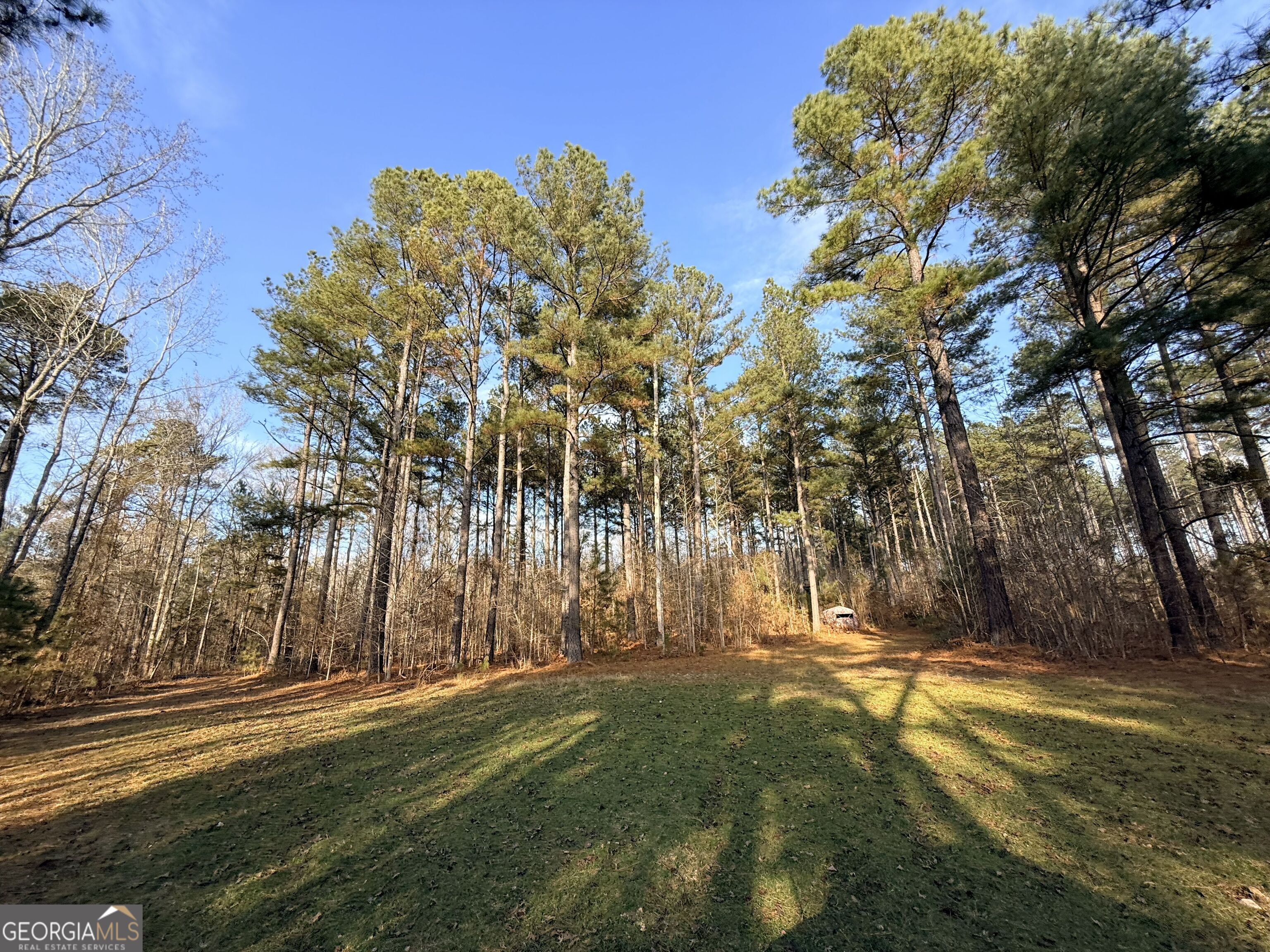 1027 Shank Road