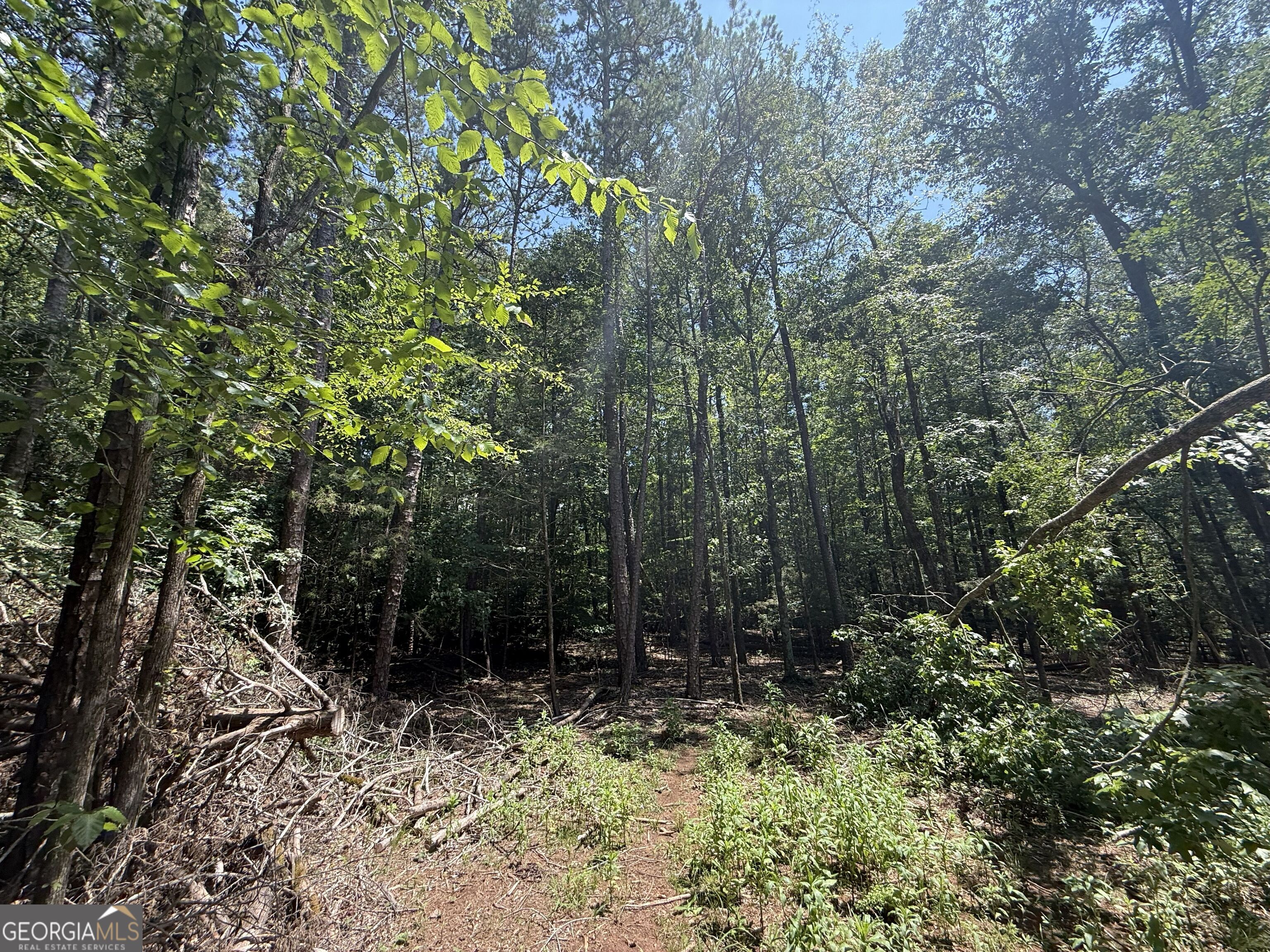 2128 Amberly Road