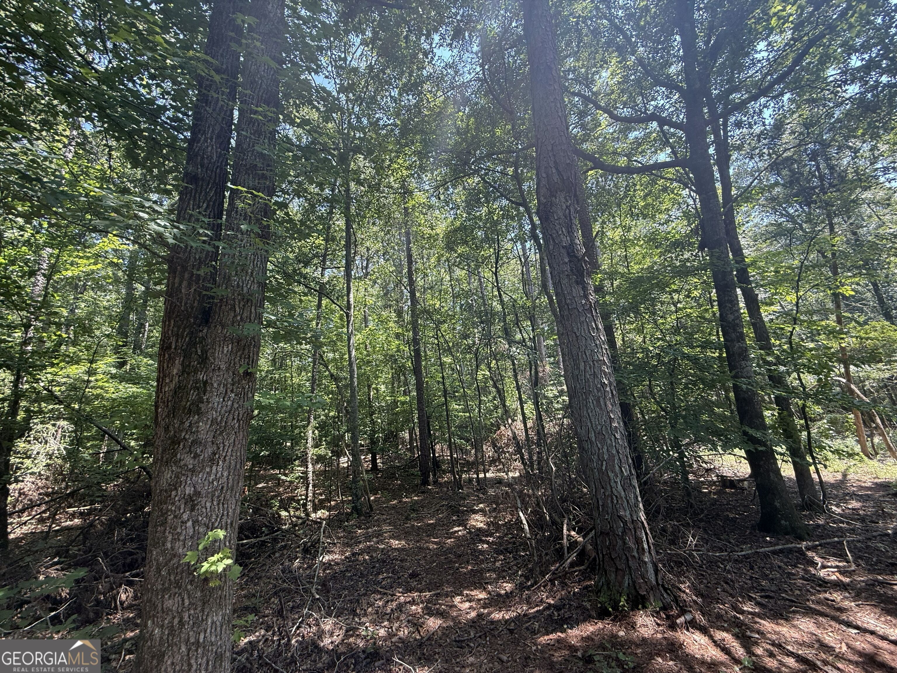 2128 Amberly Road