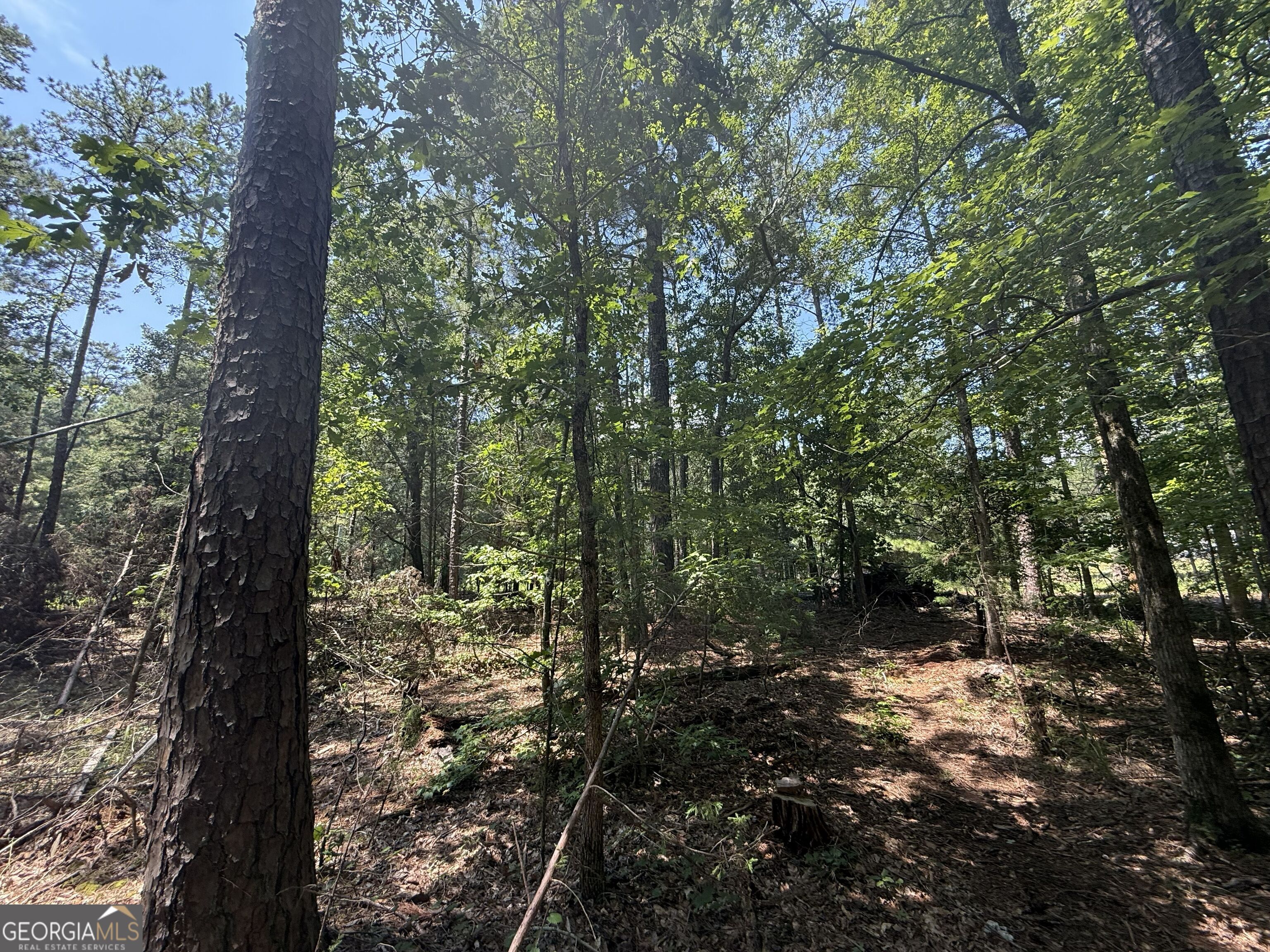 2128 Amberly Road