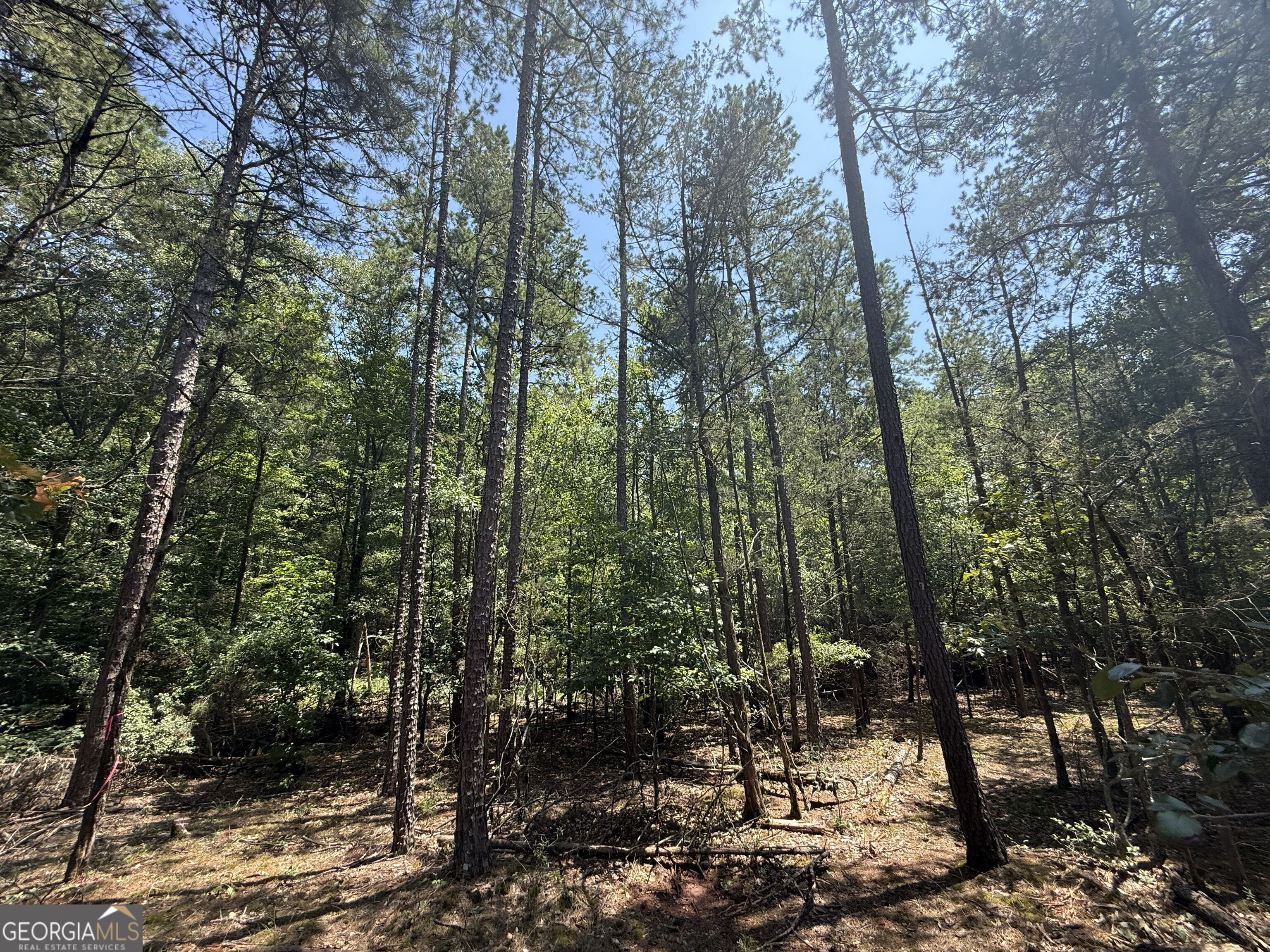 2128 Amberly Road