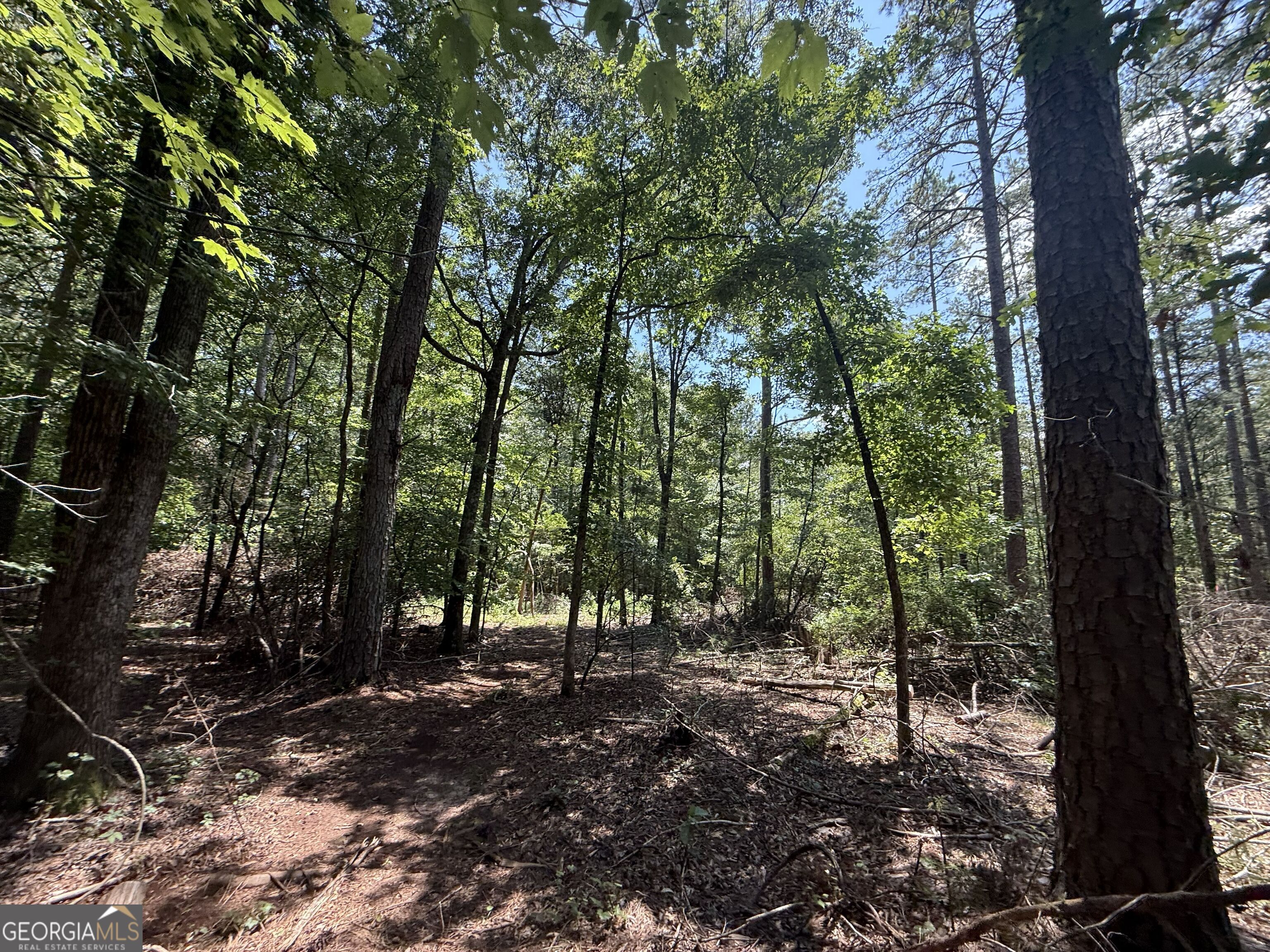 2128 Amberly Road