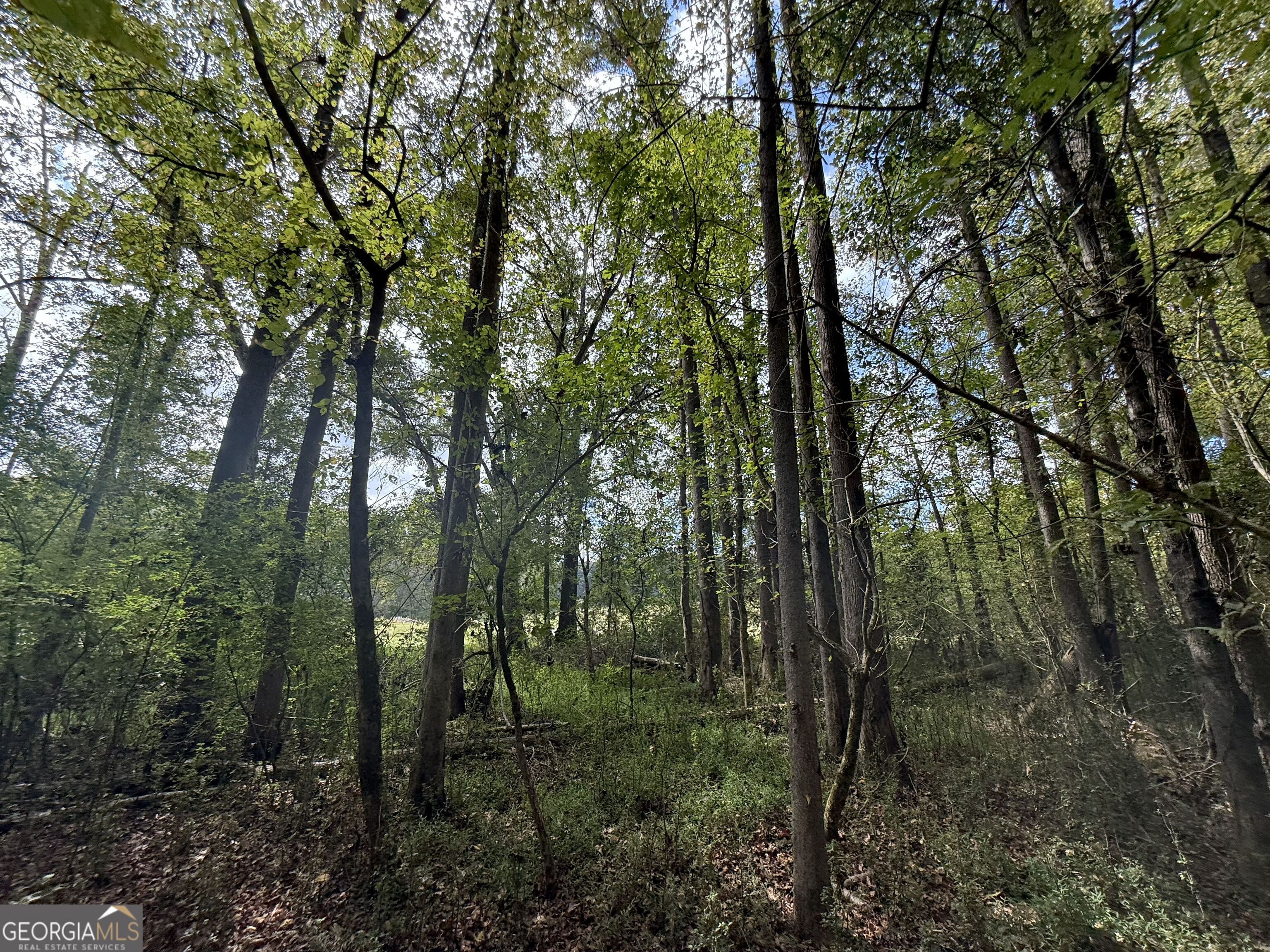 9990 Jefferson River Road