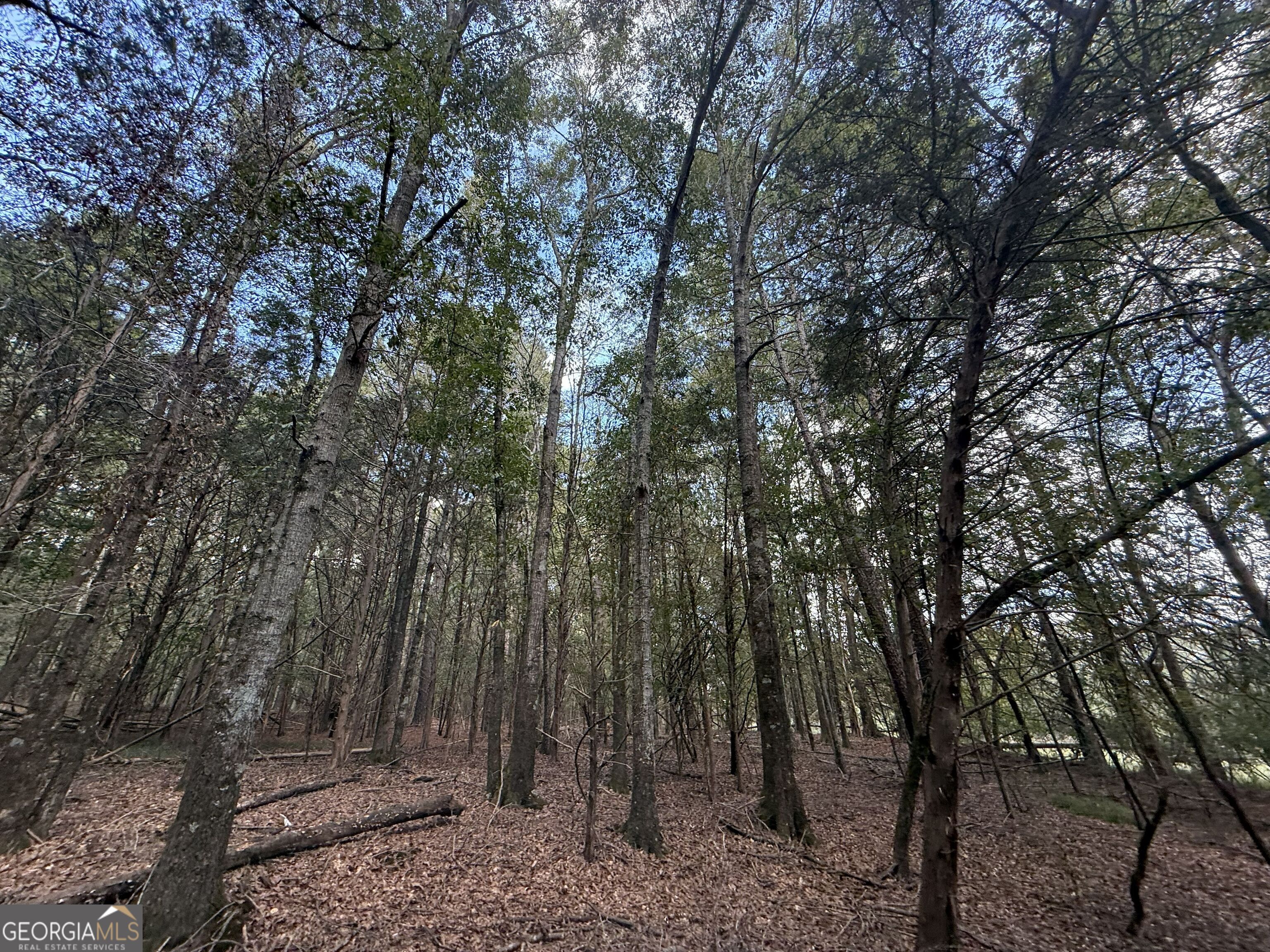 9990 Jefferson River Road