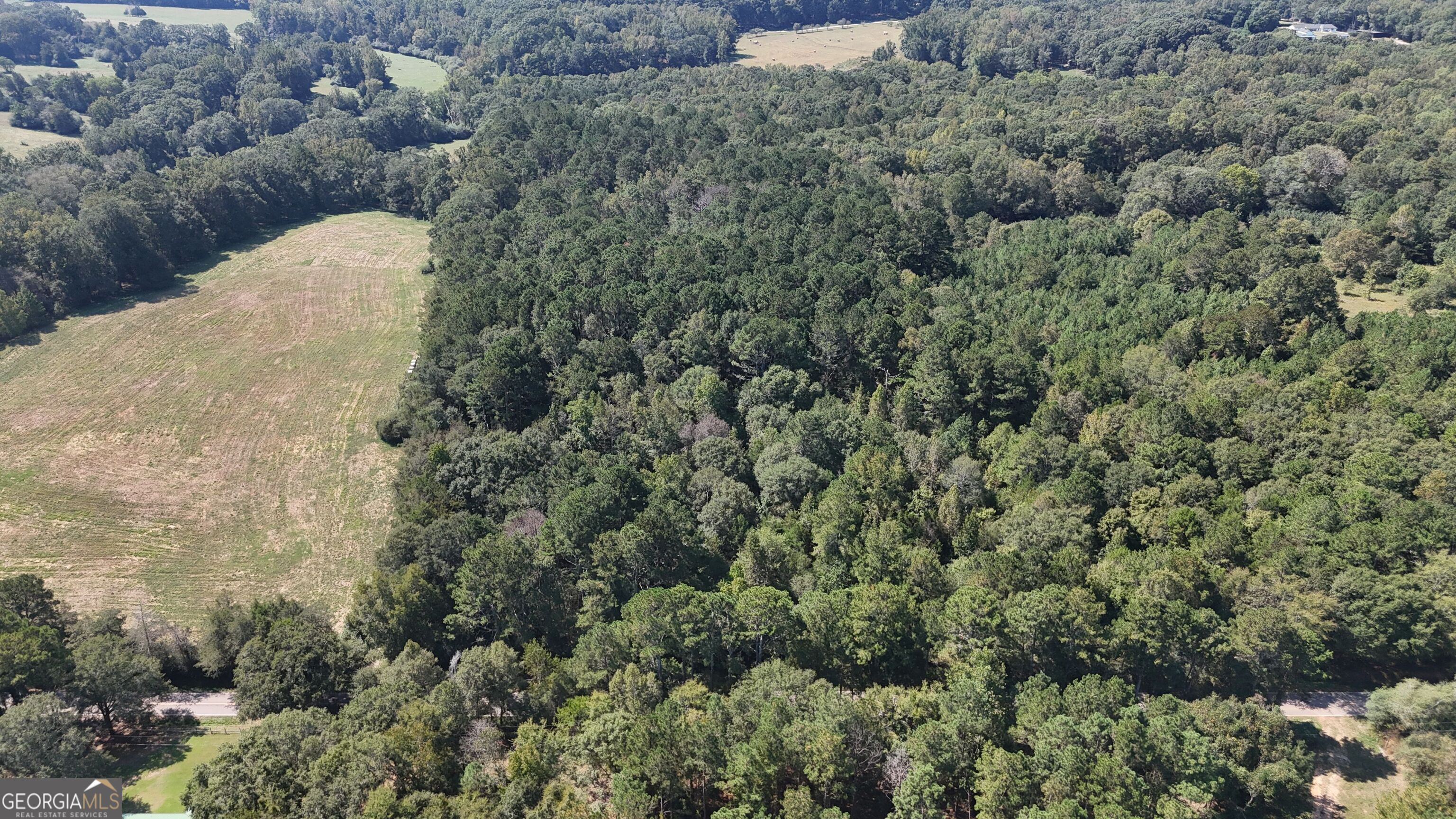 9990 Jefferson River Road