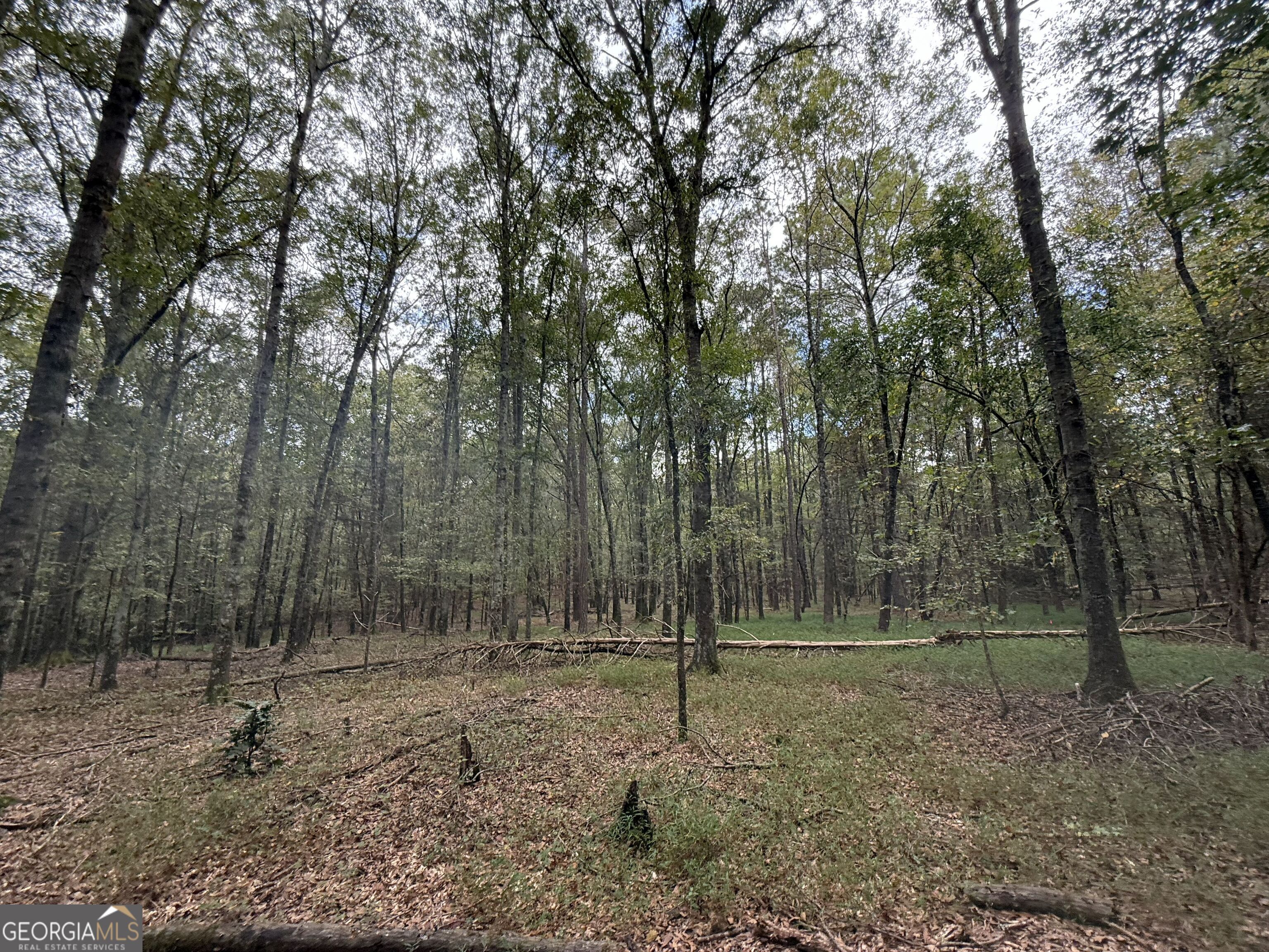 9990 Jefferson River Road