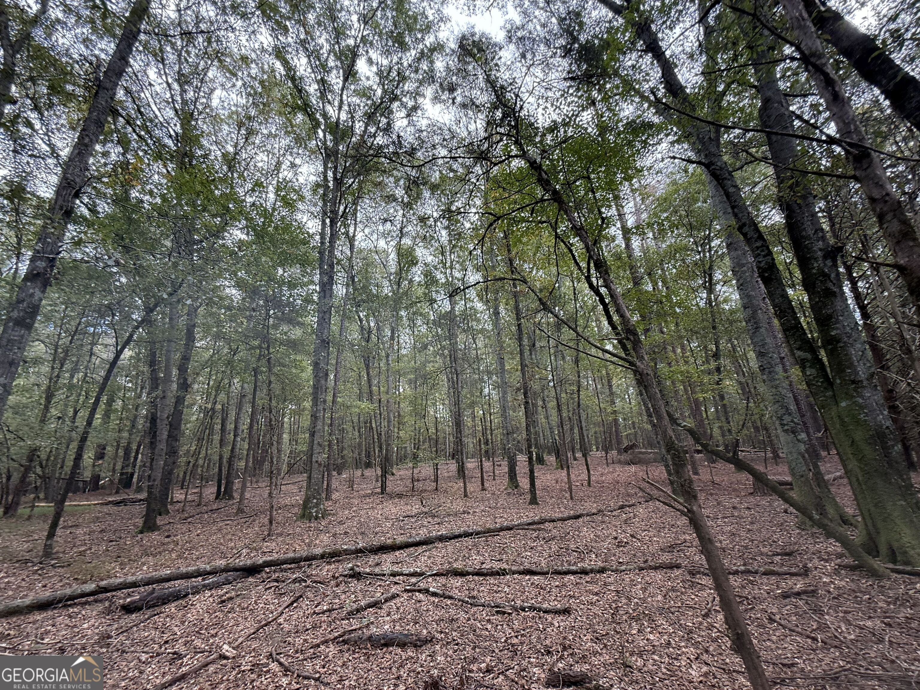 9990 Jefferson River Road