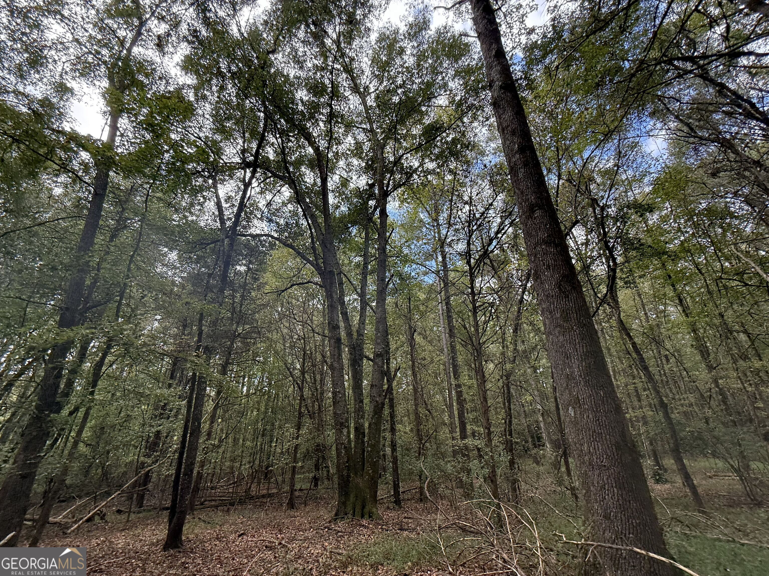 9990 Jefferson River Road
