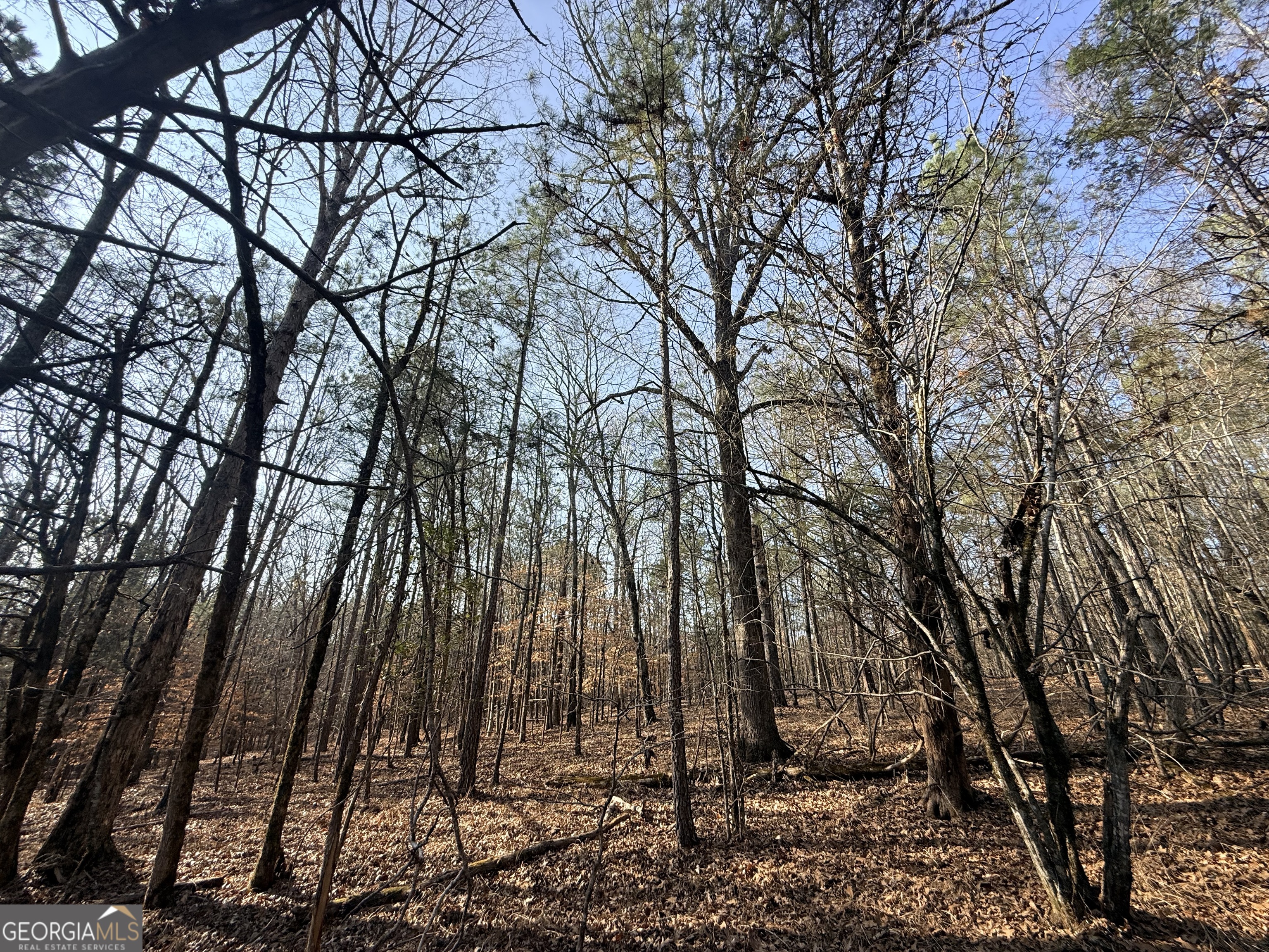 12 Cedar Creek Extension